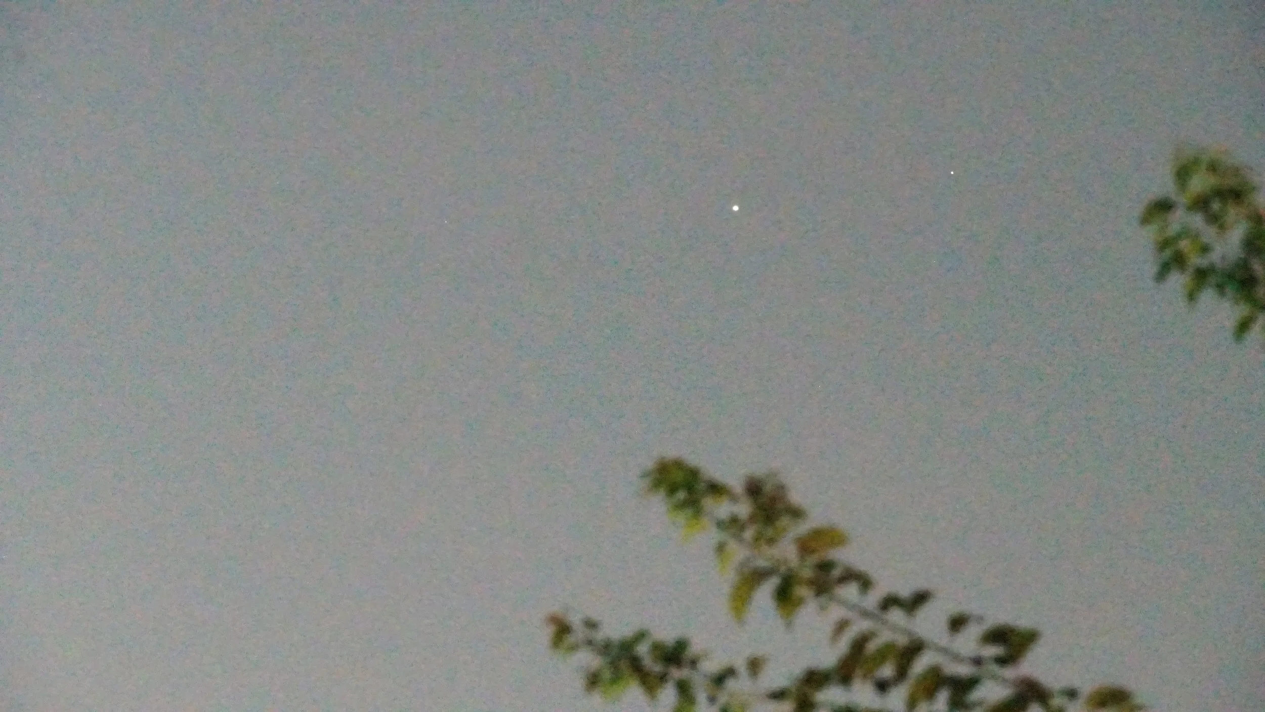 DSC08415phigh.jpg