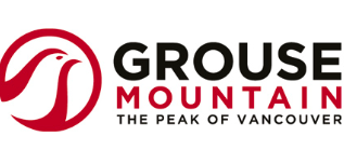 Screenshot 2026-03-17 172200.png