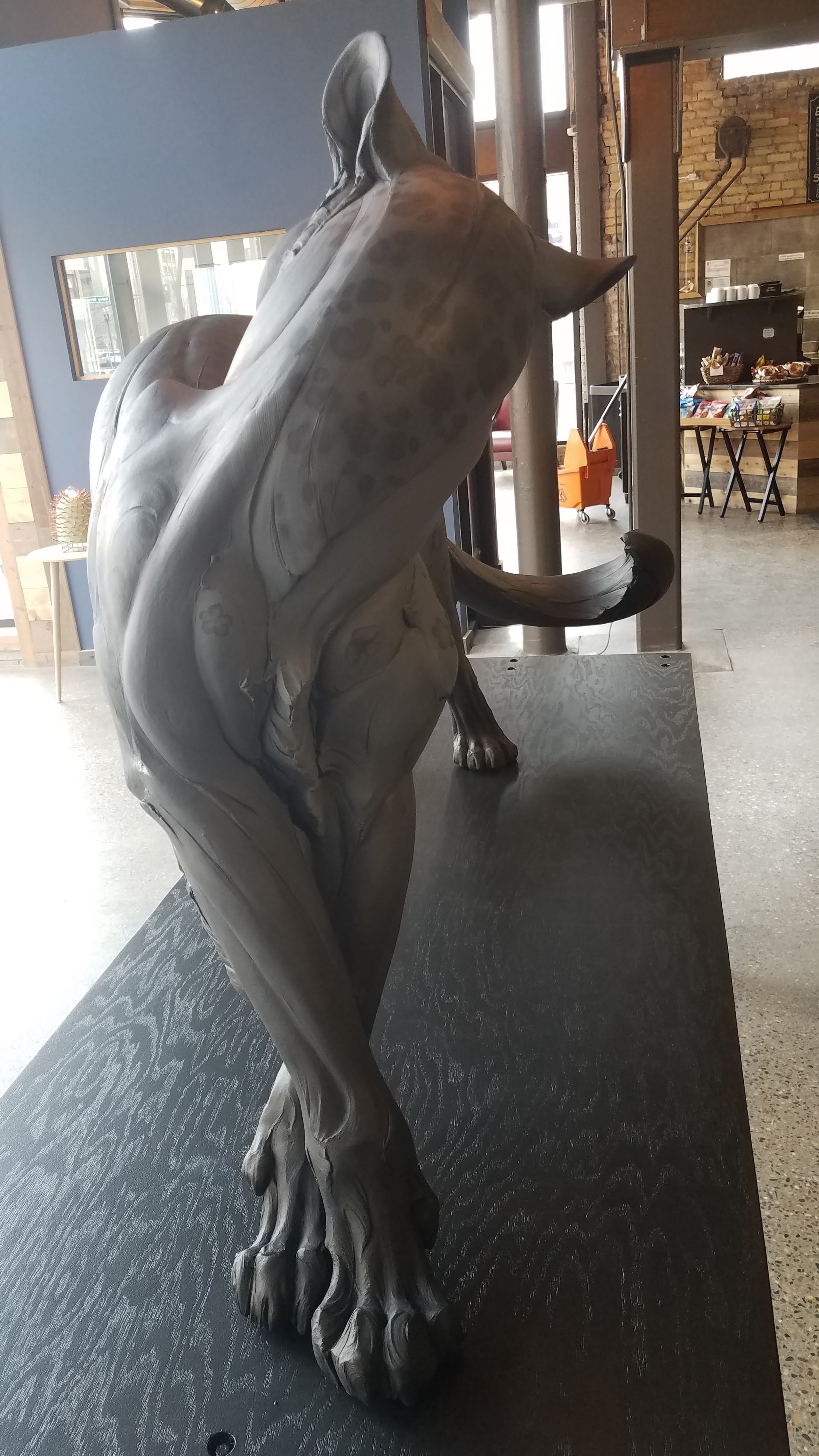 20190326_110238.jpg