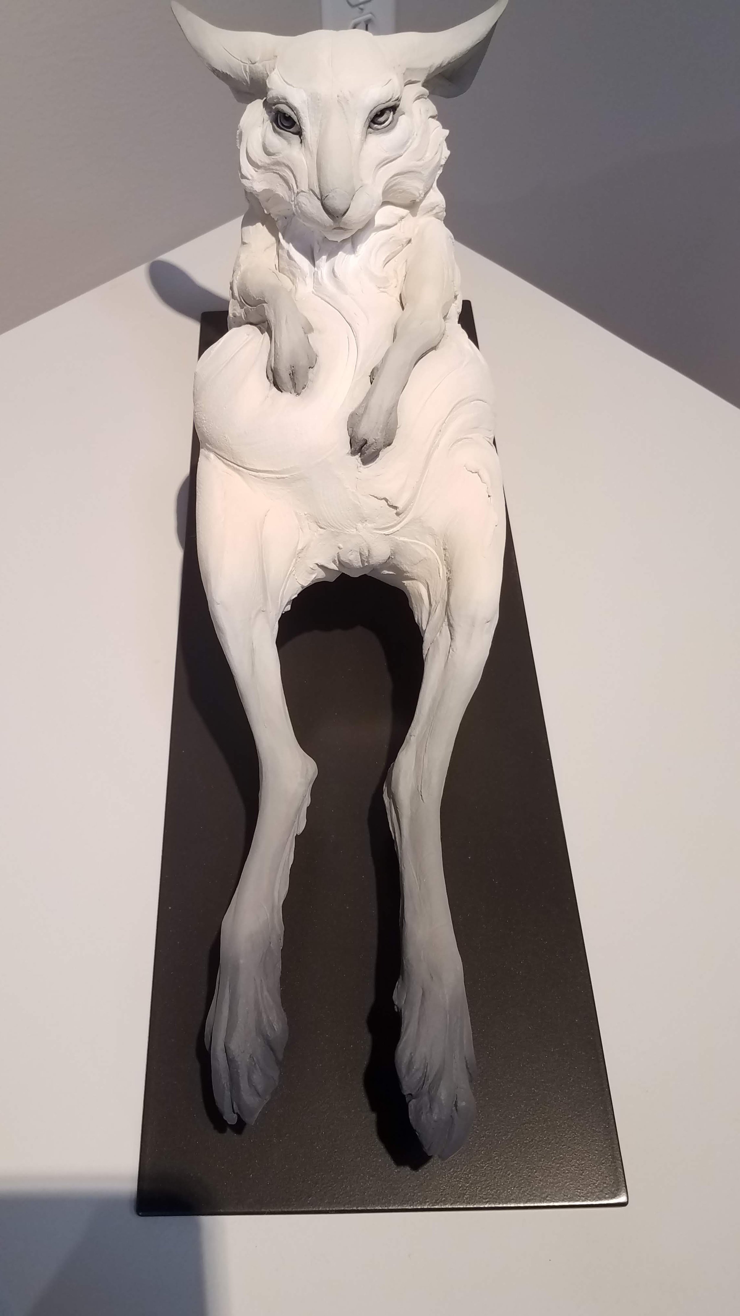 20190326_110601.jpg