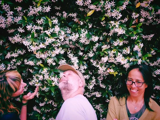 Always On Tour, Built to Spill Set to Stop by Bay Area Once Again