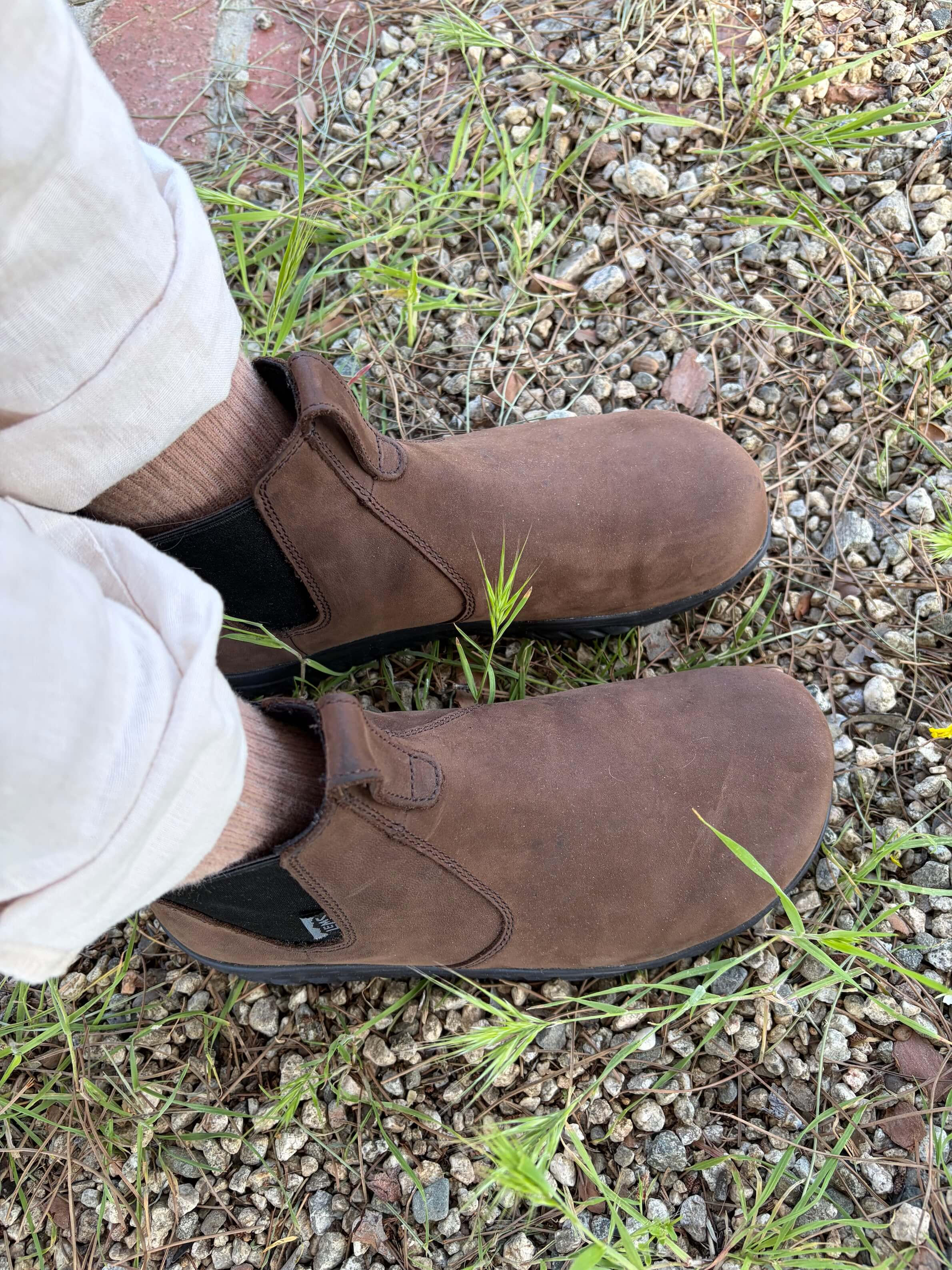 Woman wearing lems barefoot chelsea boots in Espresso