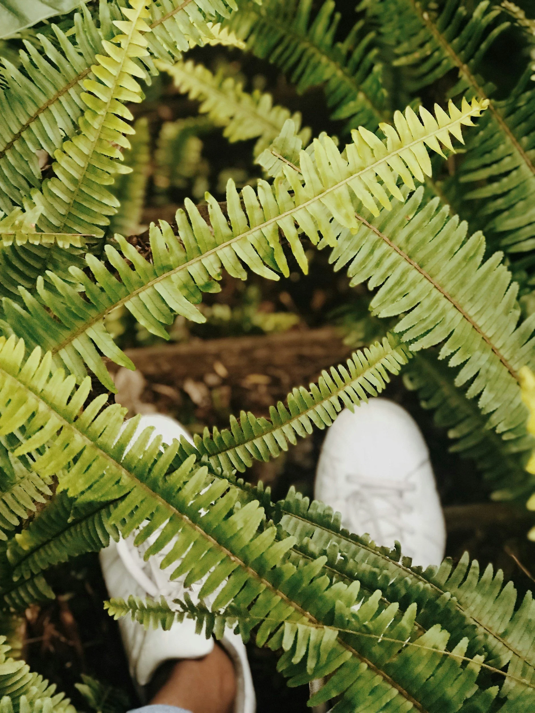 Top 7 Sustainable Shoe Brands for Eco-Friendly Comfort & Style