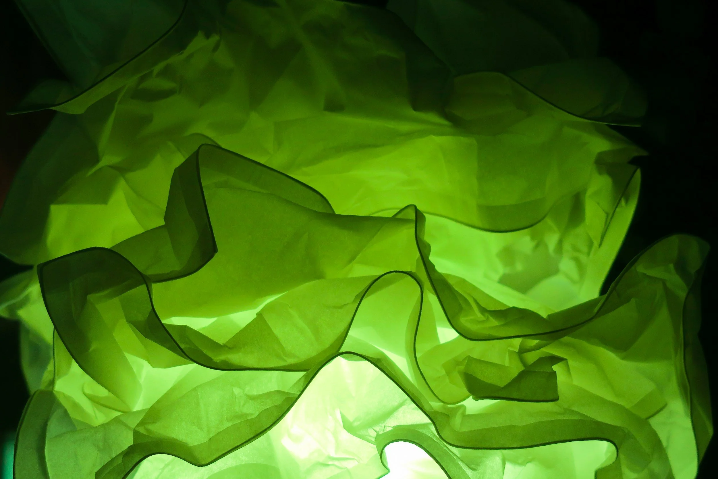 Greenwashing 101: How to Spot It and Avoid Being Misled