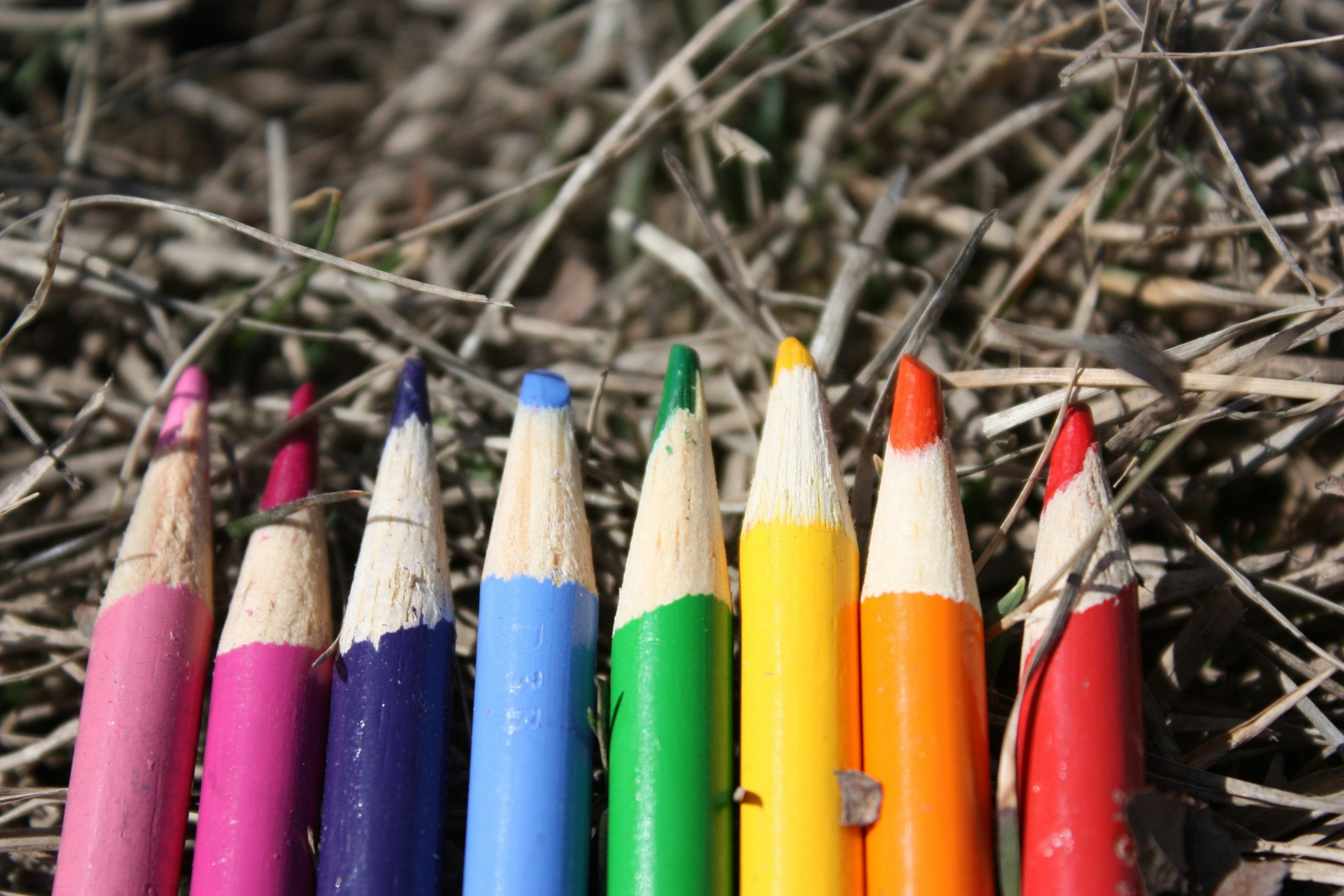 colored pencils arranged in a row on dried grass