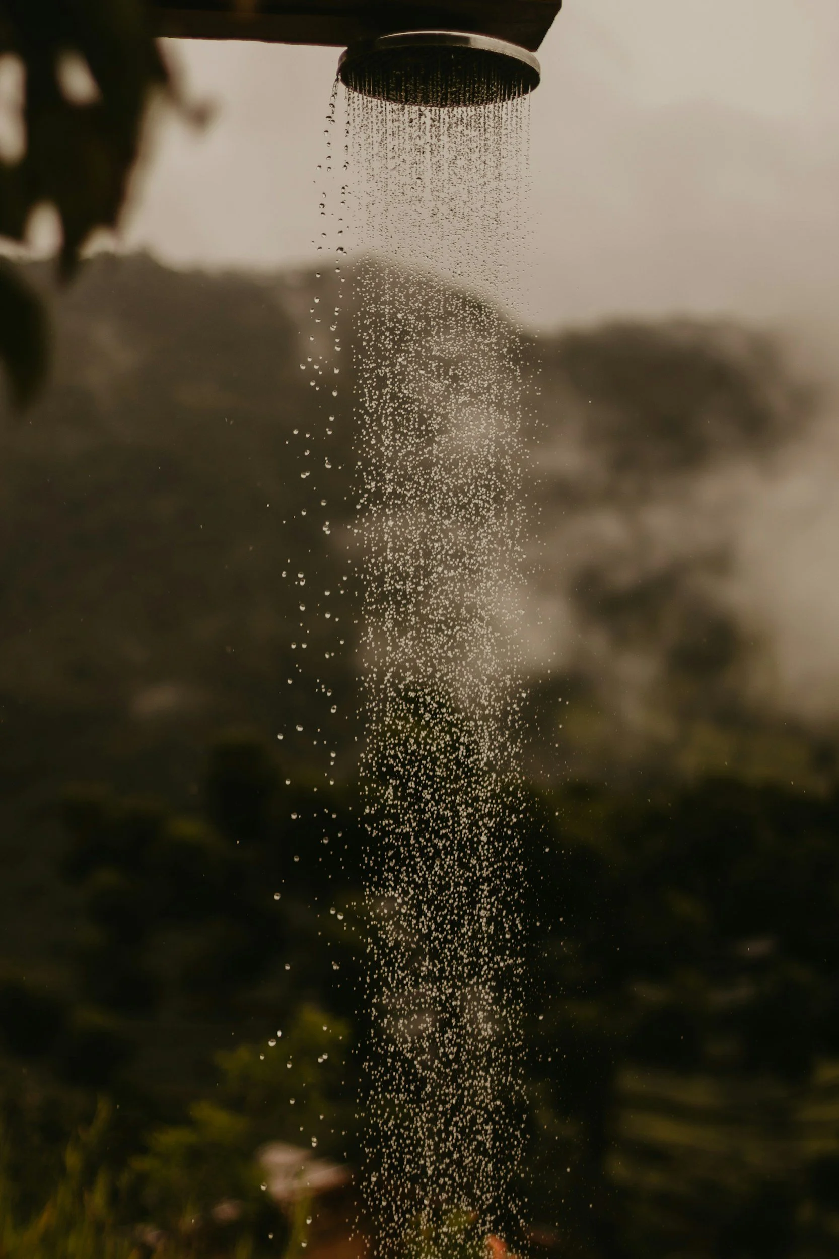 shower head turned on with nature in the background through the shower glass window