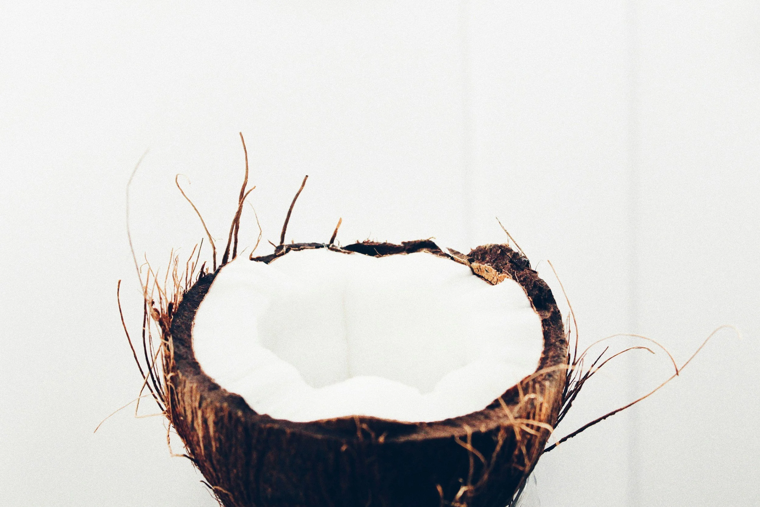 organic coconut used to make cold pressed coconut oil