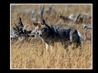 IMG_0478.jpeg
