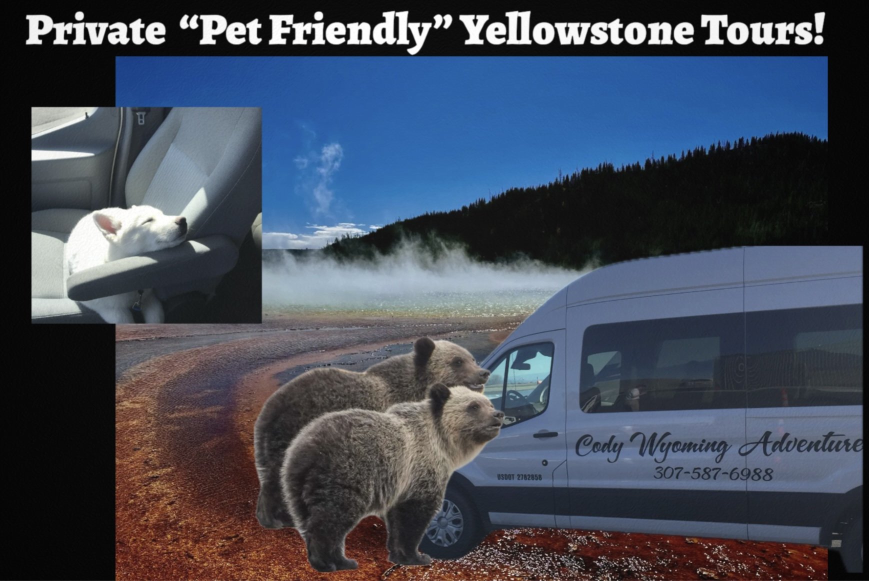 Private “Pet Friendly” Yellowstone “The Volcano” Lower Loop Tour For Up To 4 Guests!