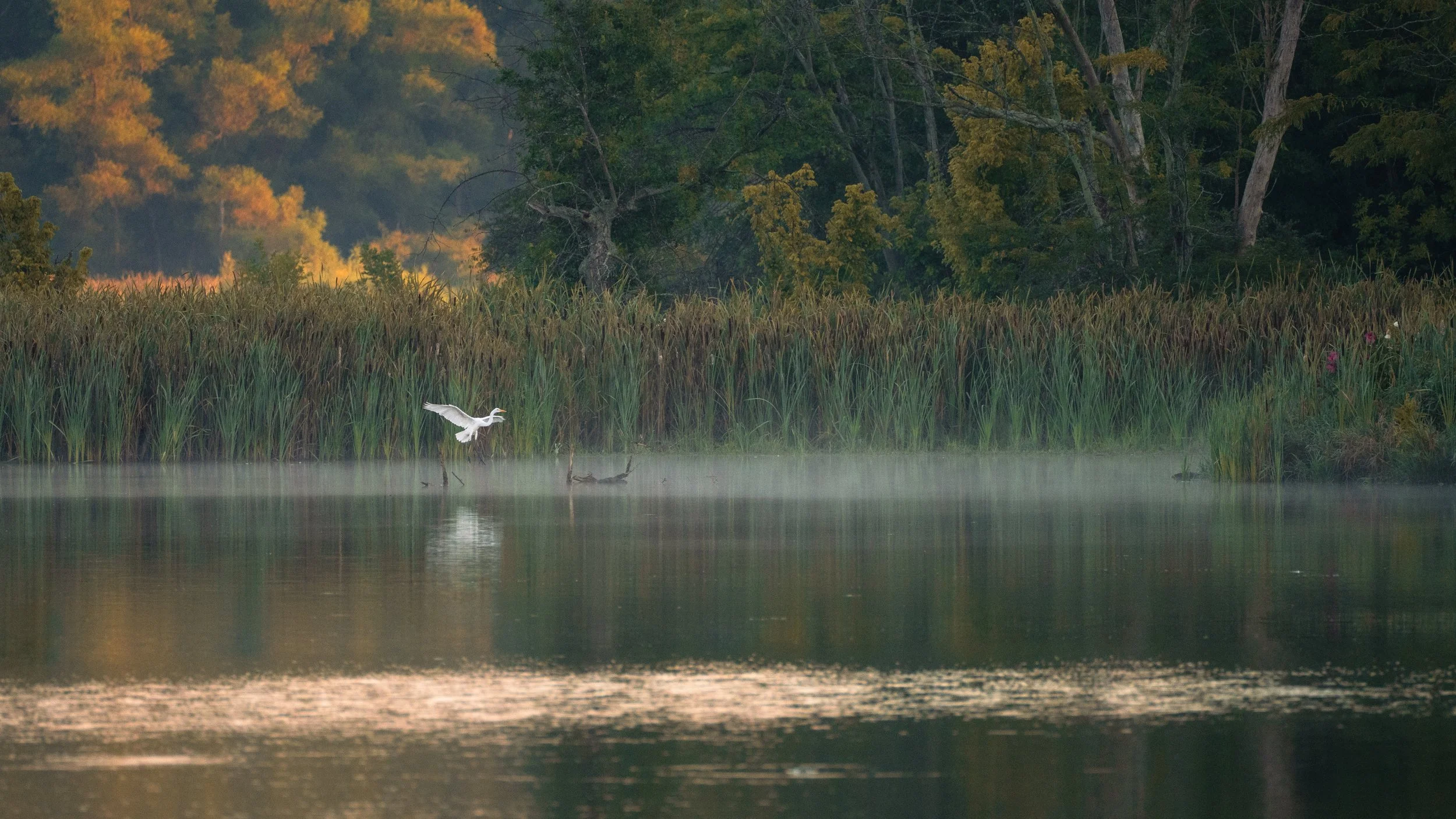 2023-08-16_Eagle Creek Park-11.jpg