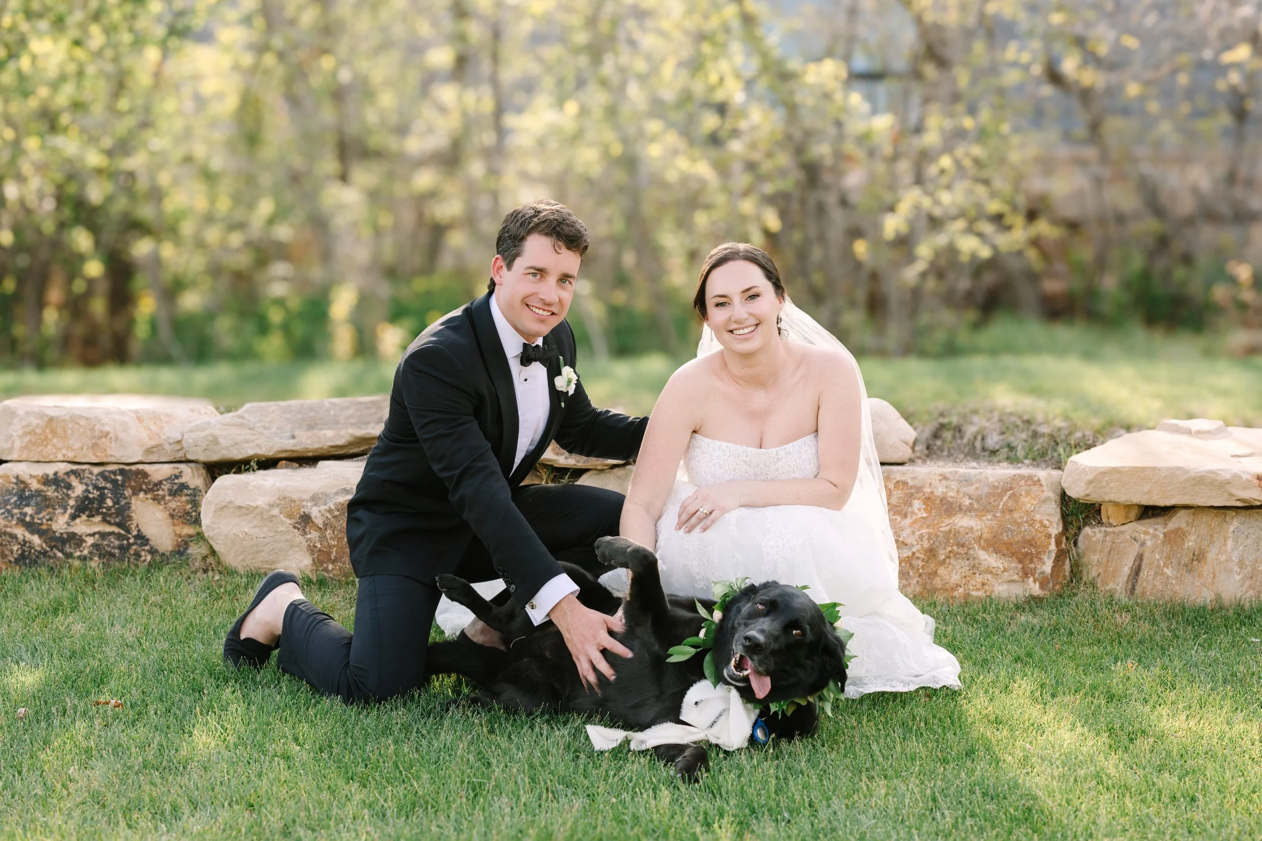 A wedding couple, dressed in formal wedding attire, sitting on the grass with two black dogs wearing white ribbons and greenery, in a park or garden setting with trees and stone wall in the background.