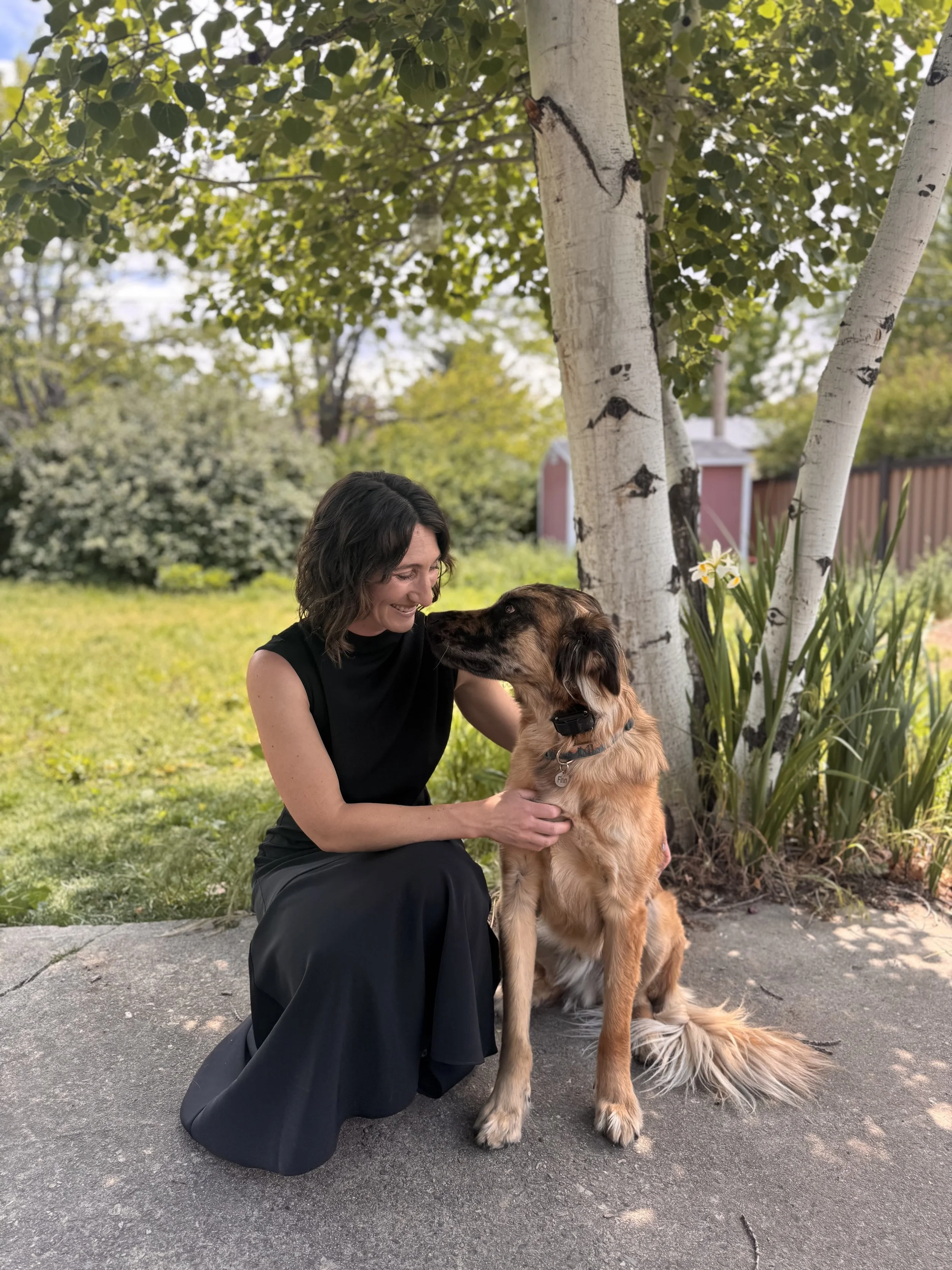 A woman kneeling on the sidewalk, smiling and looking at a large, long-haired dog sitting beside her. They are outdoors under a tree with green leaves, and there is a bush and a fence in the background.