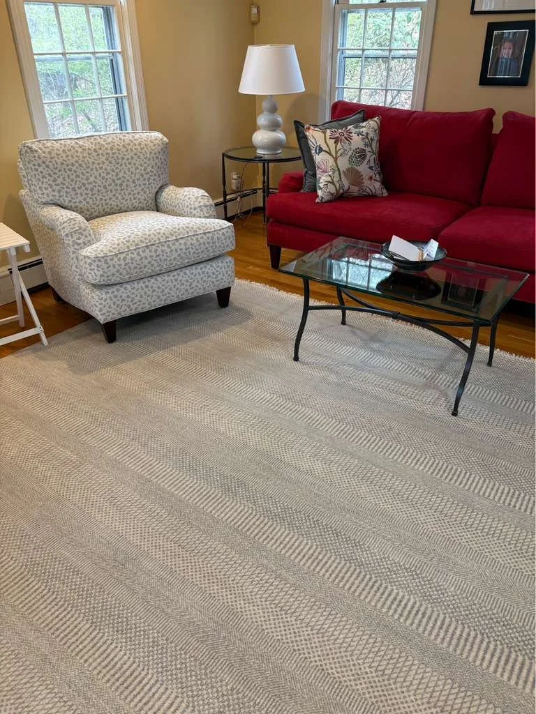 Living room with a red sofa, a white patterned armchair, a glass coffee table, a white table lamp, and a textured rug.
