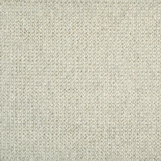 (204) Cloud