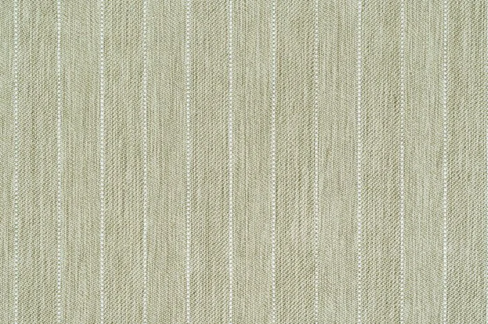 134 Lichen