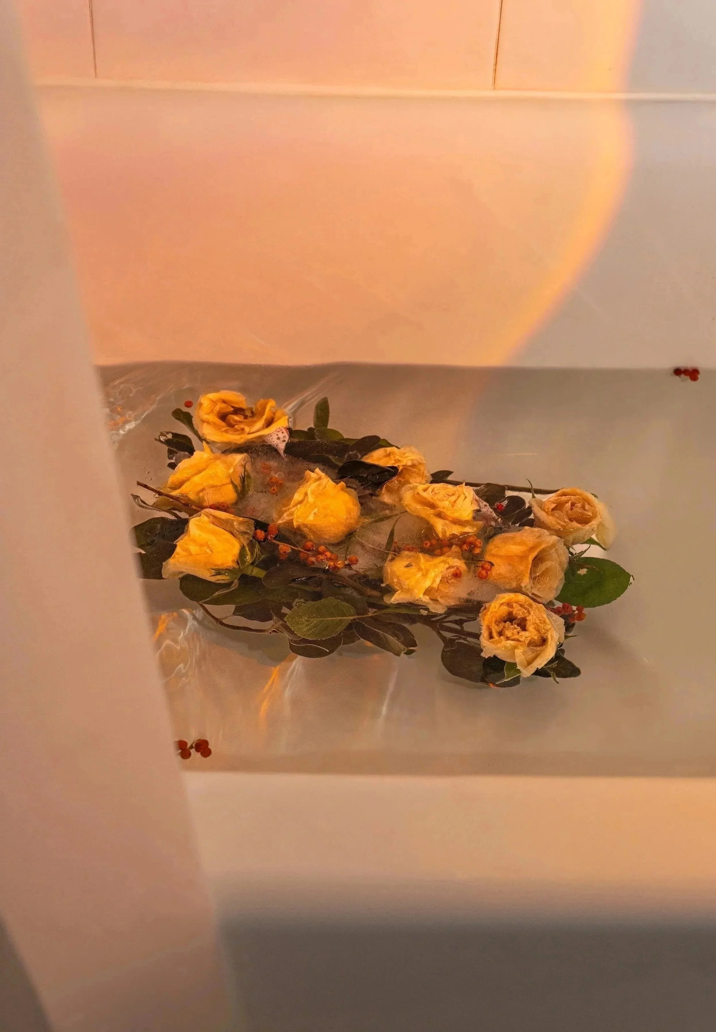 bathtub_roses-4.jpg