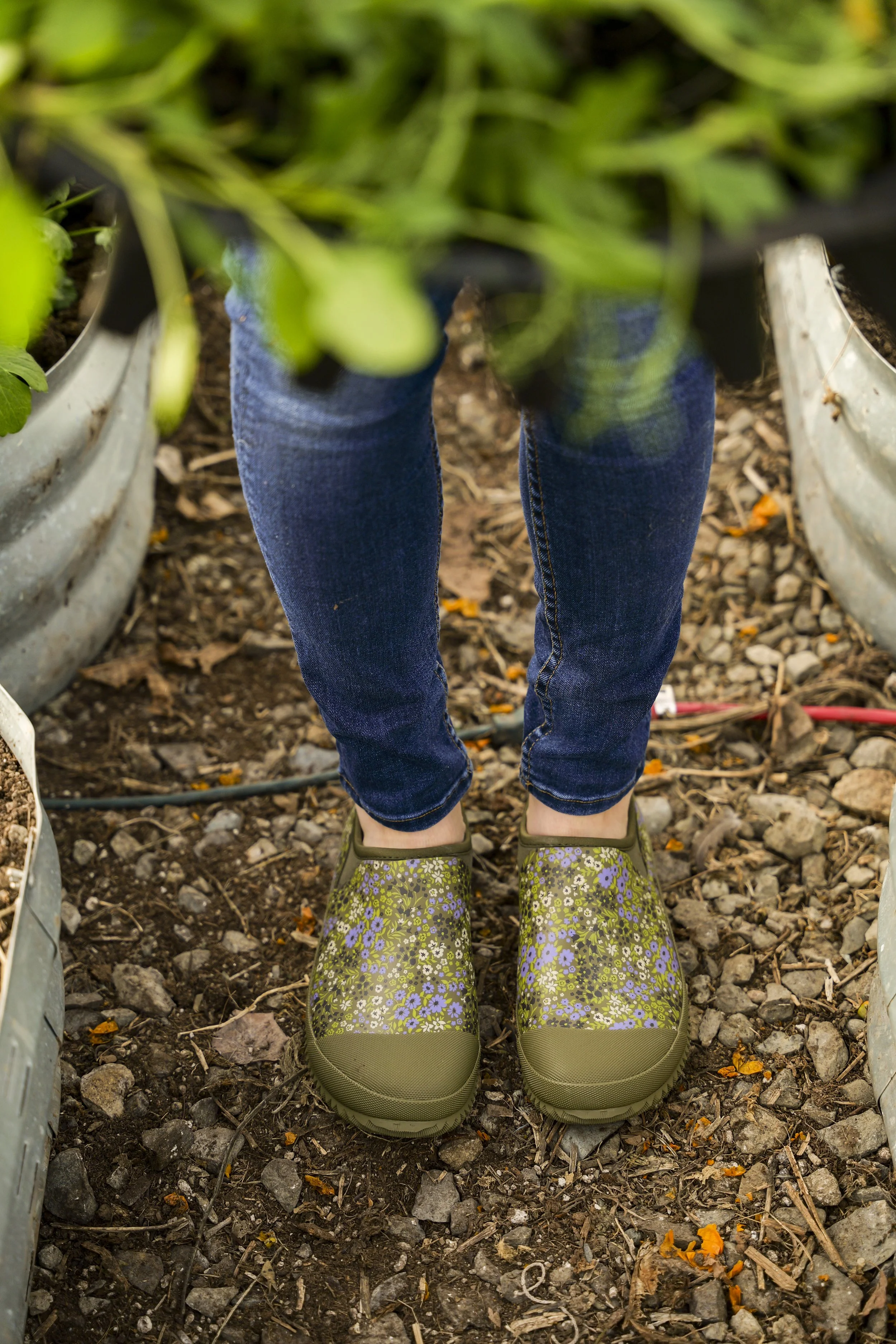 petals-and-posies-farm-photo-shoot-254.jpg