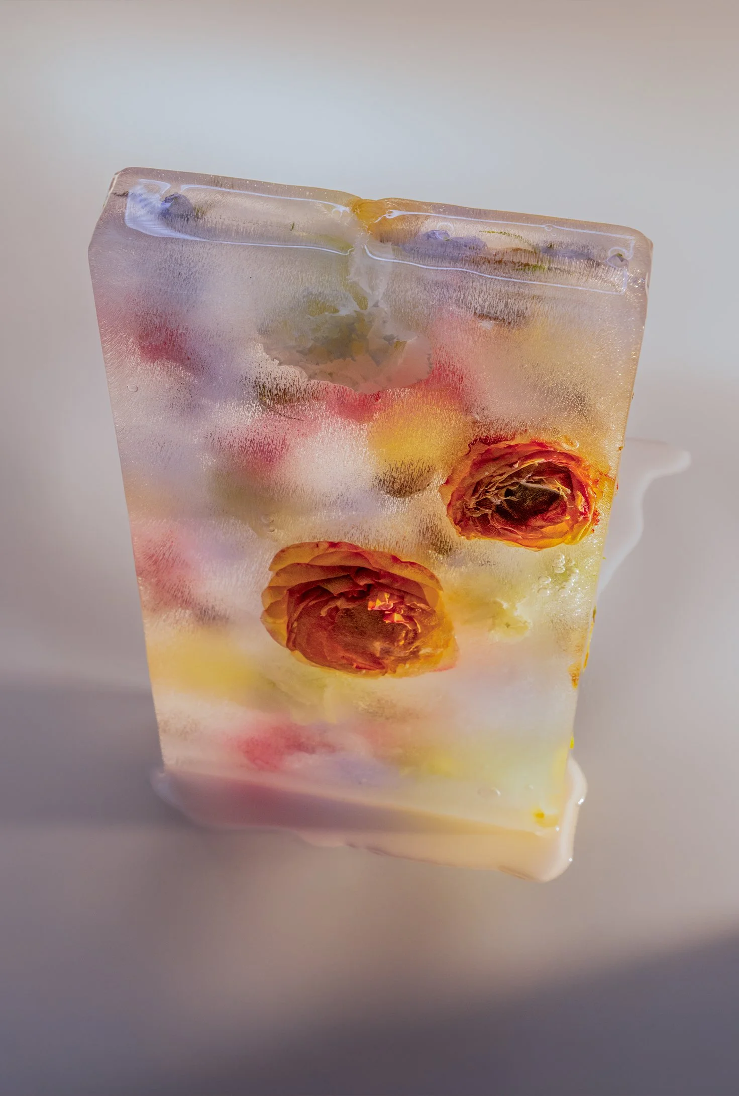 first bloom_06-Edit.jpg