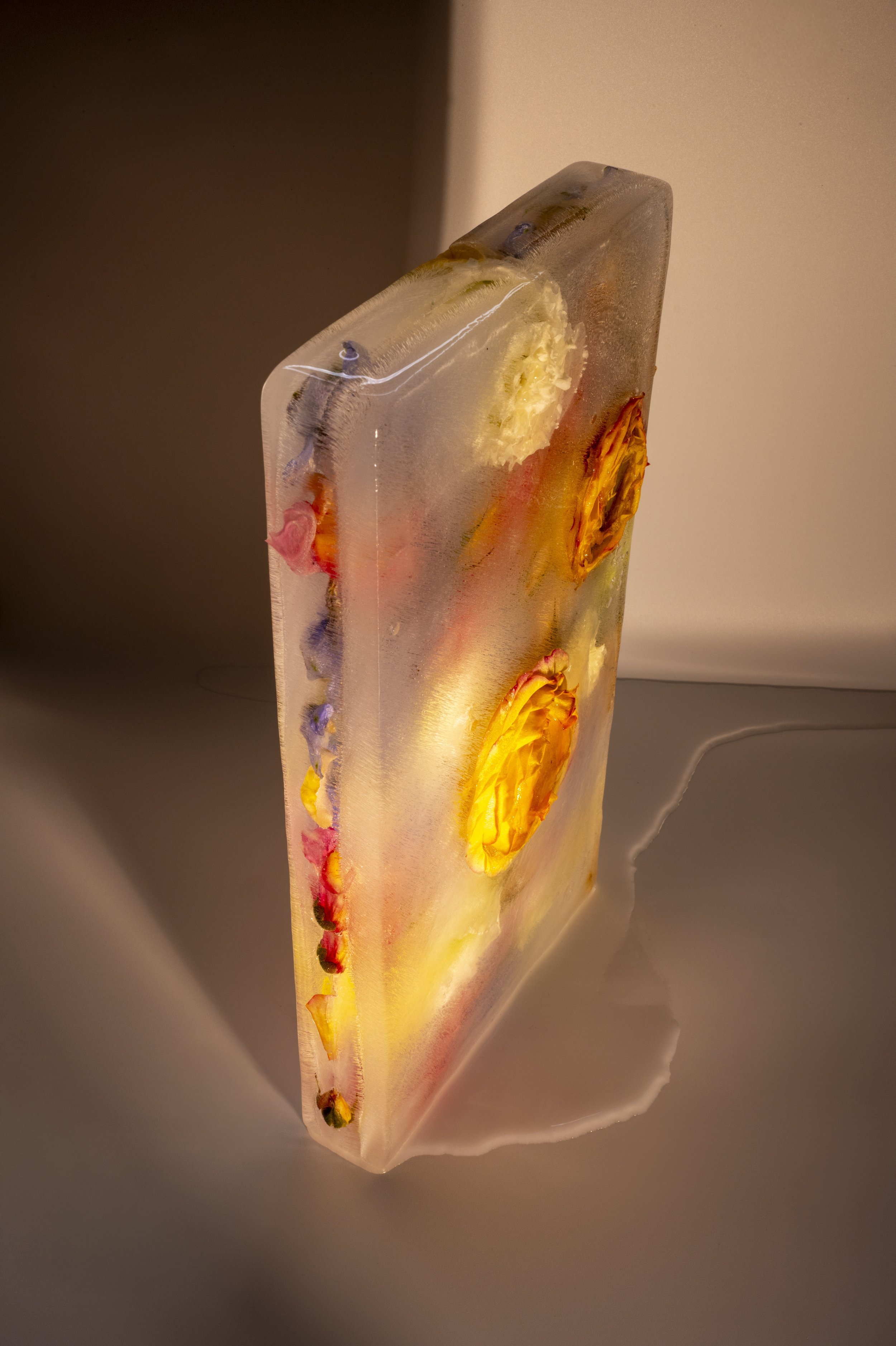 first bloom_light box-7.jpg