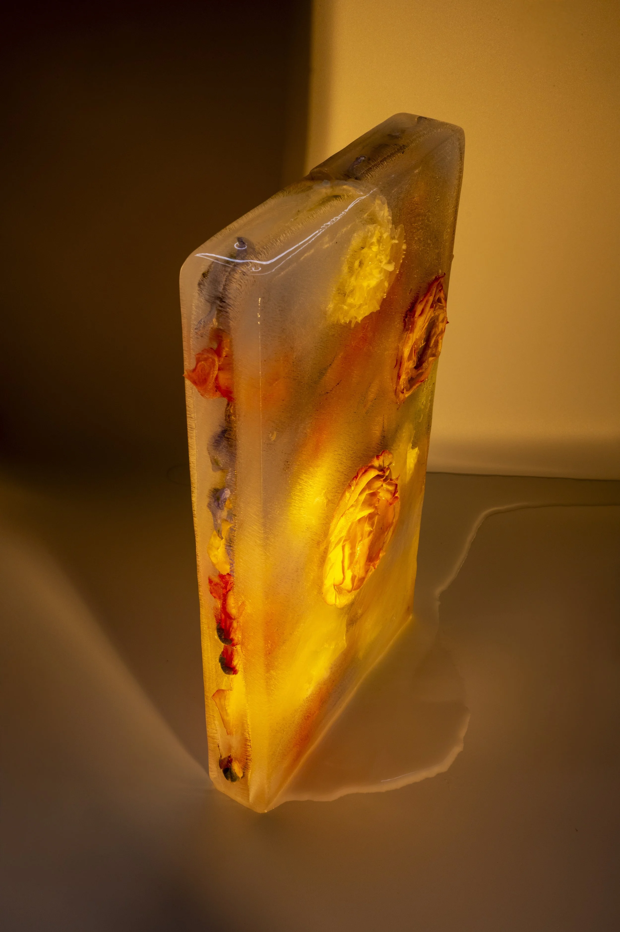 first bloom_light box-6.jpg