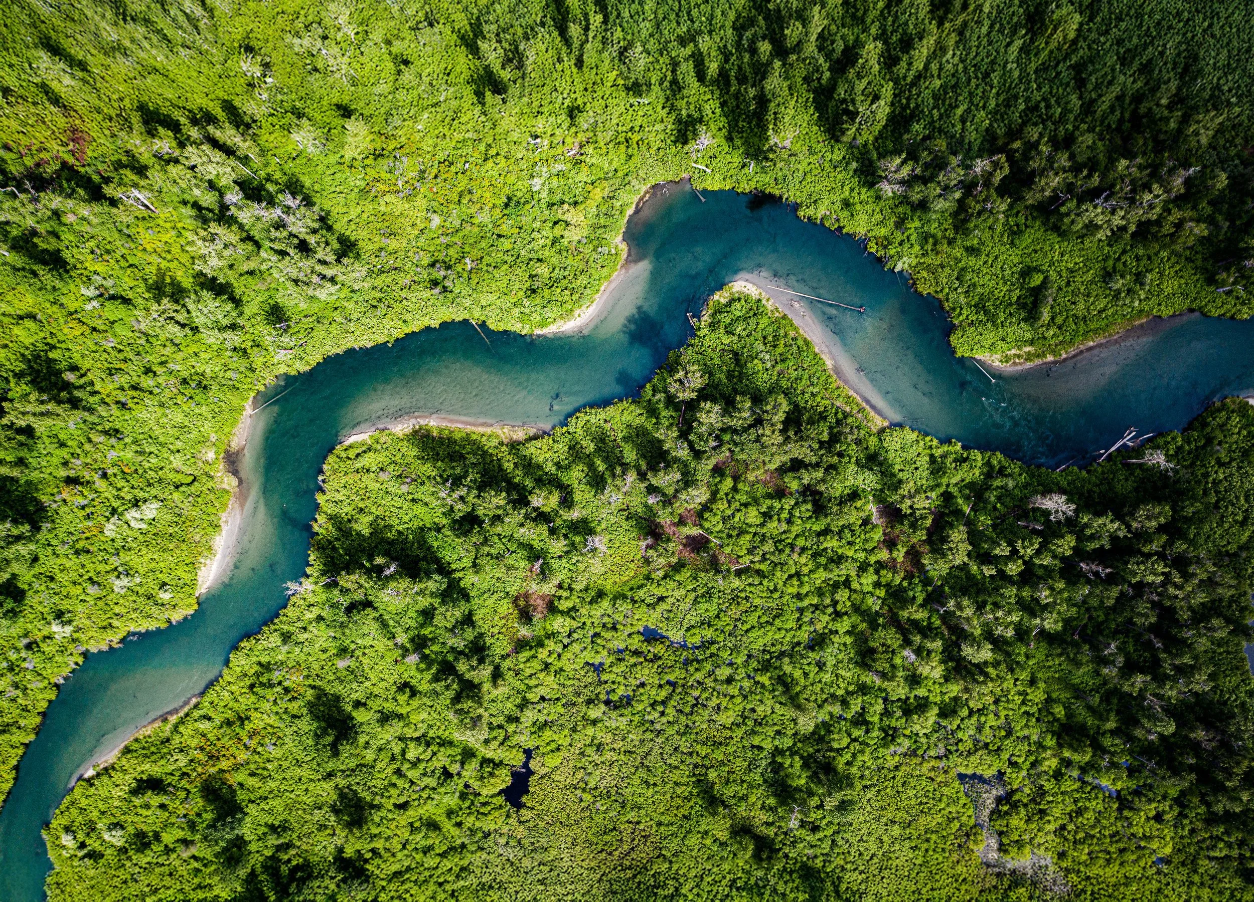 lake+tributary.jpg