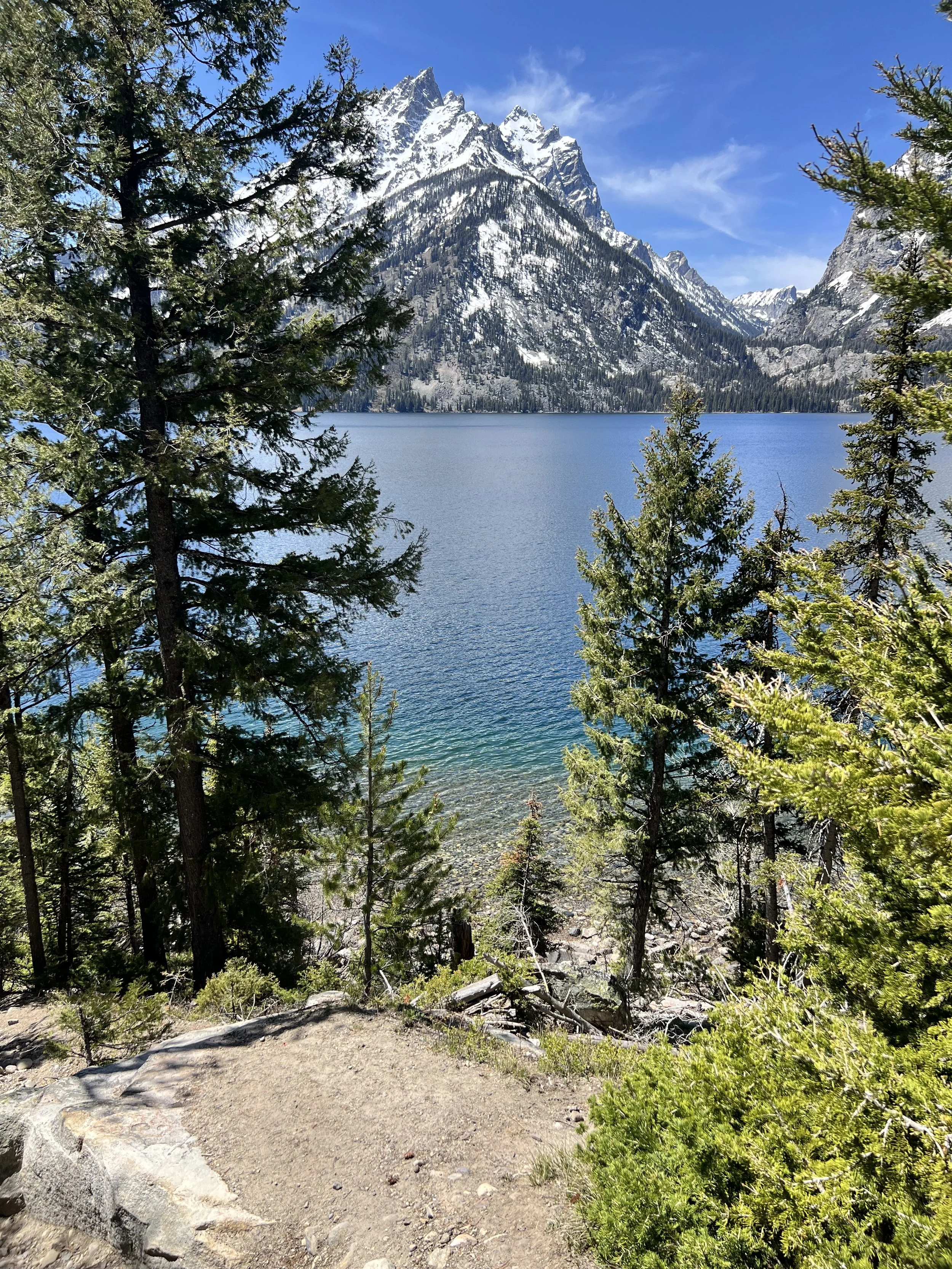 Scenic view of a lake surrounded by pine trees with snow-capped mountains in the background under a blue sky.