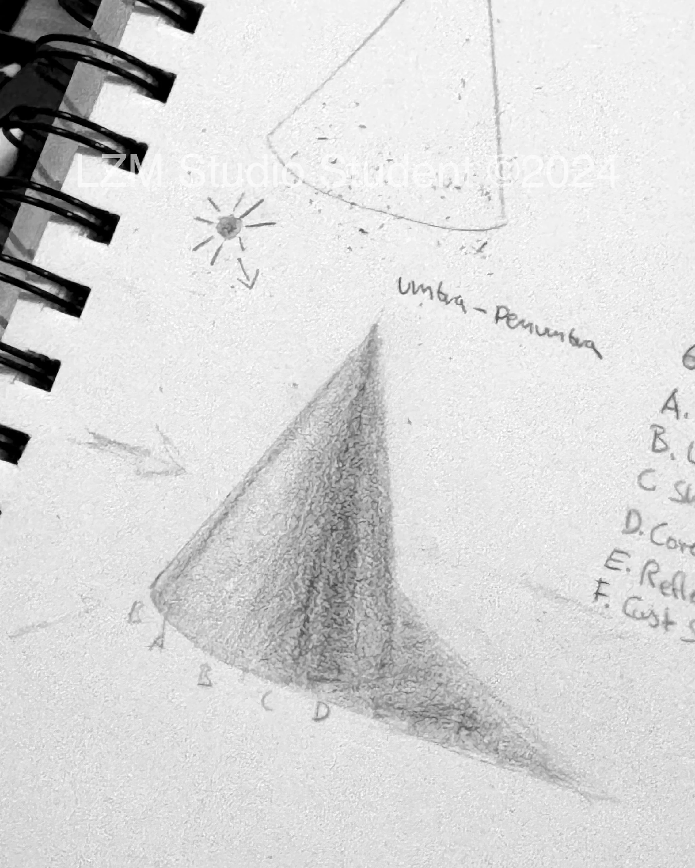 Bunyamin, shape study, Adult LZM Studio Student, graphite