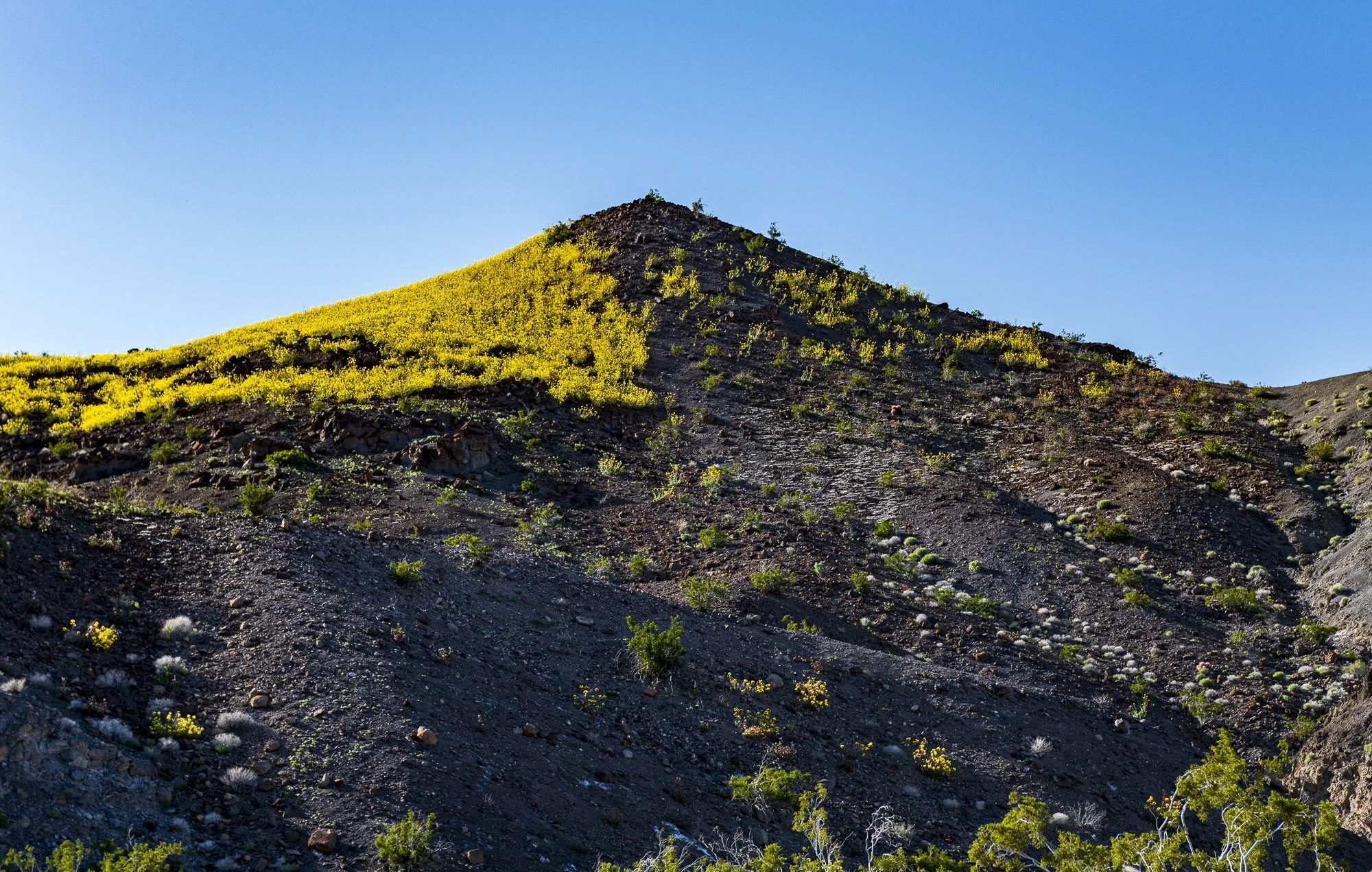 Death Valley Overlook2 (16 of 1)-9.jpg