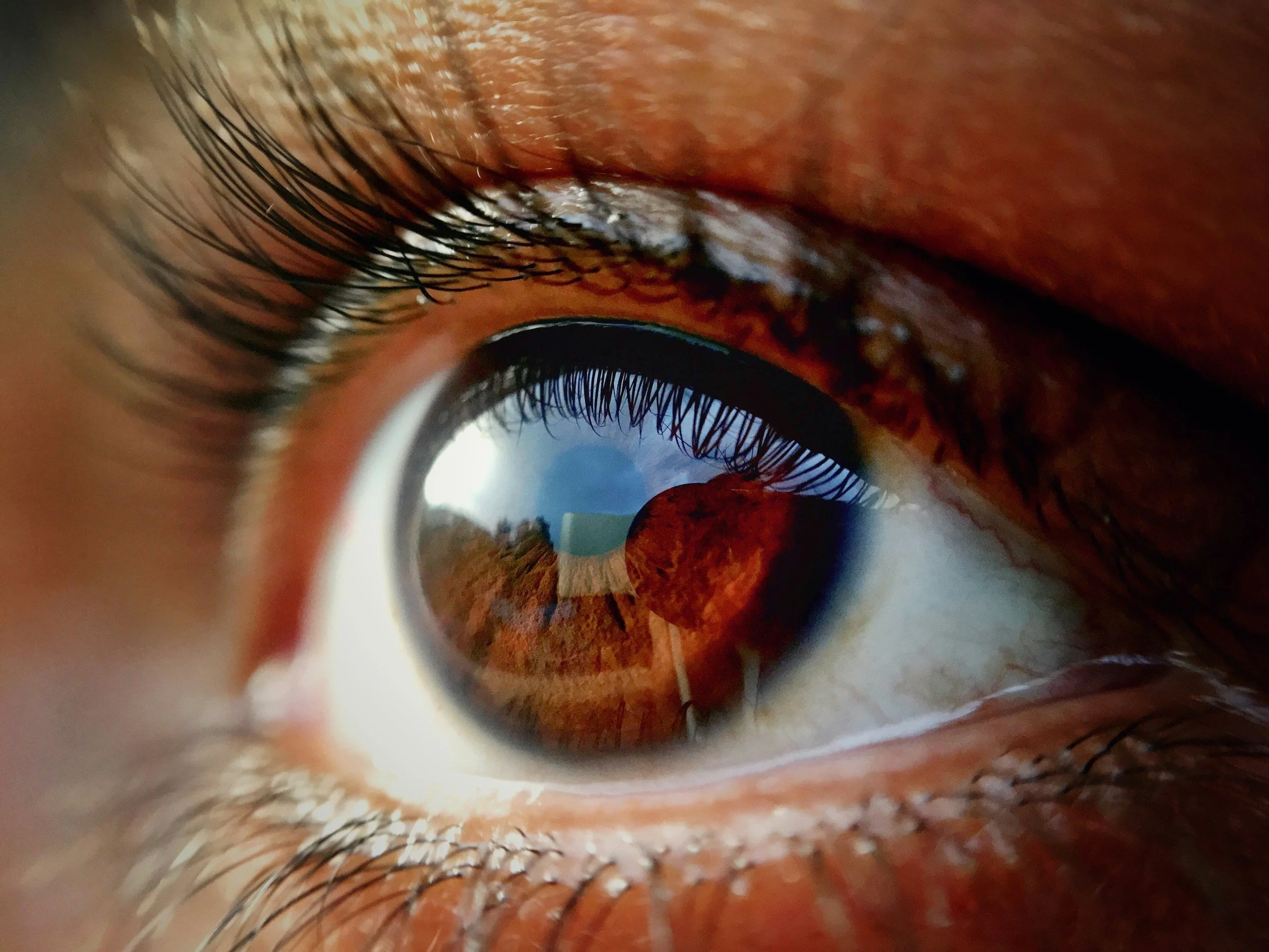 Close-up of a human eye with brown iris, detailed eyelashes, and reflections showing a landscape scene in the cornea.
