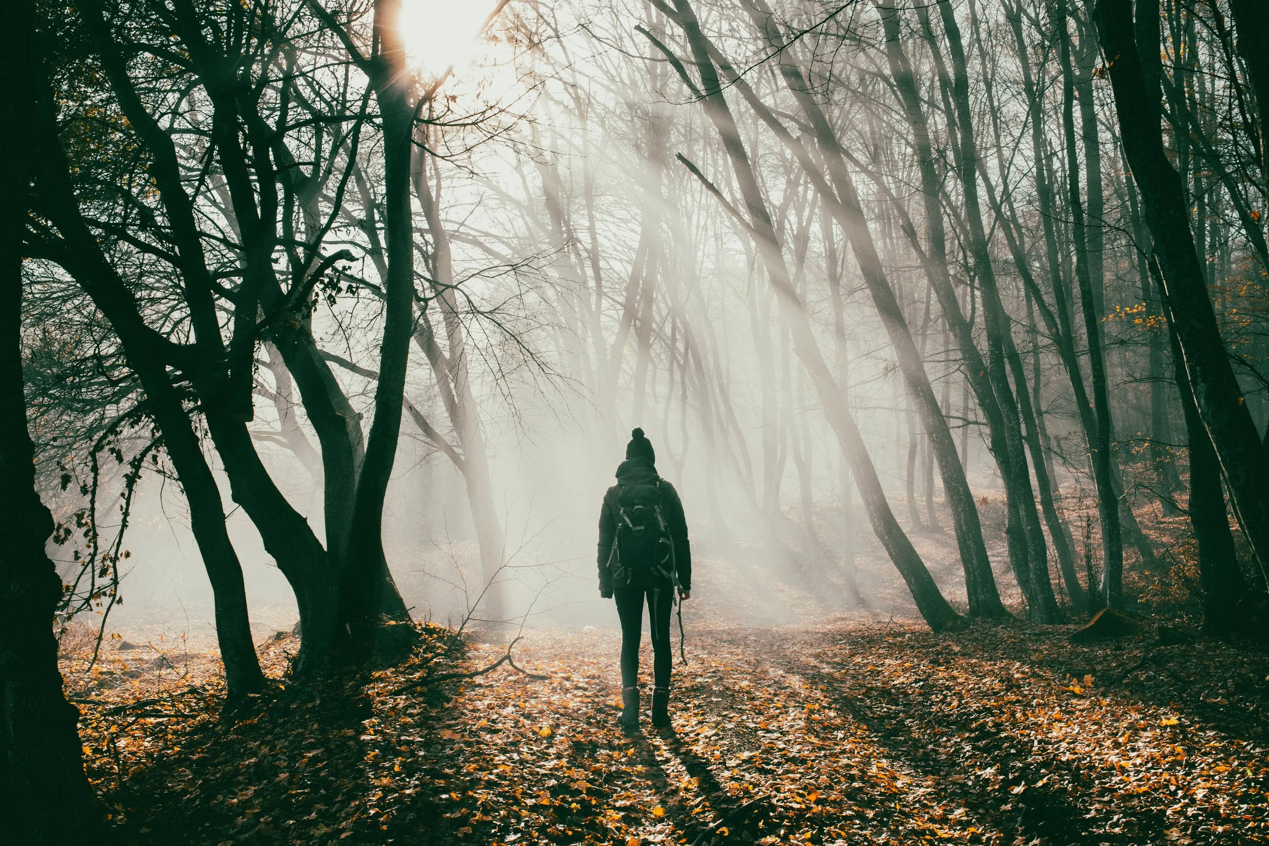 Emotional Avoidance: When Avoiding Your Feelings Keeps You Stuck