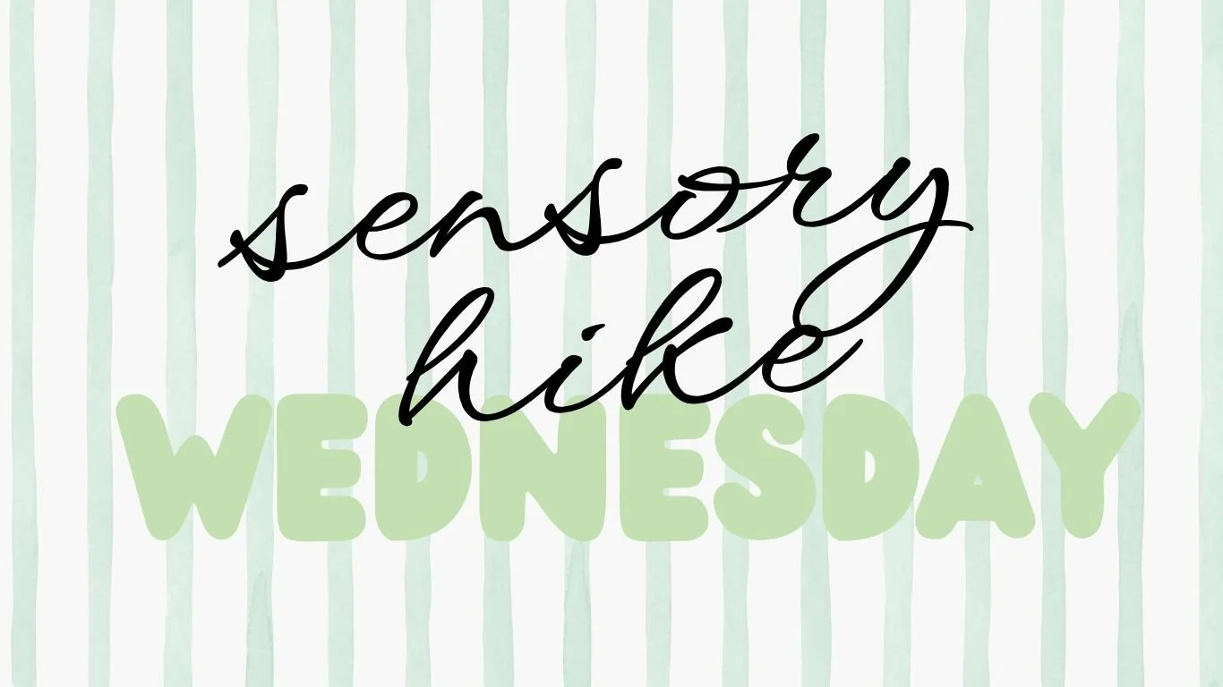 Sensory Hike at Riverside Preserve
