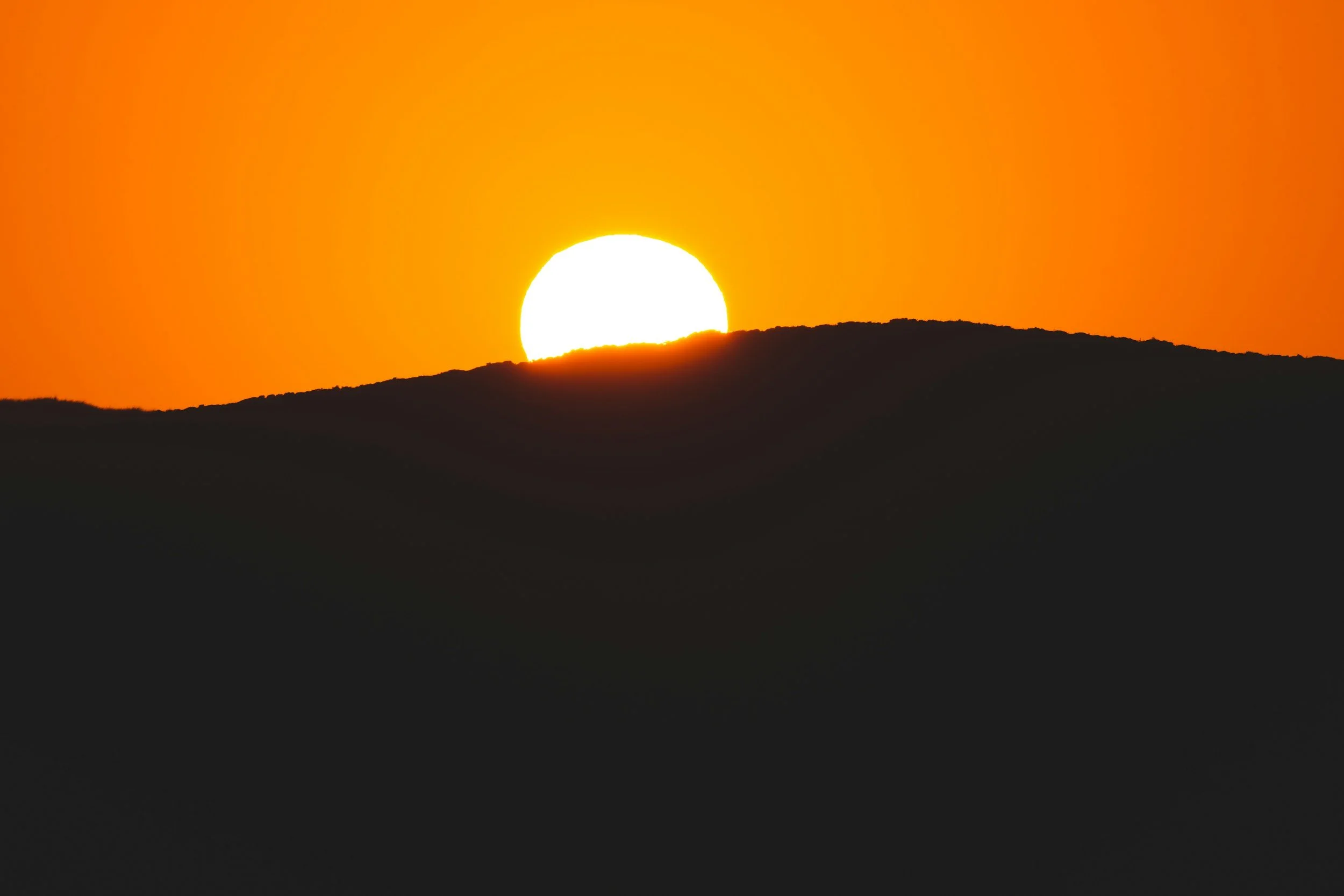 humility, humble, blog