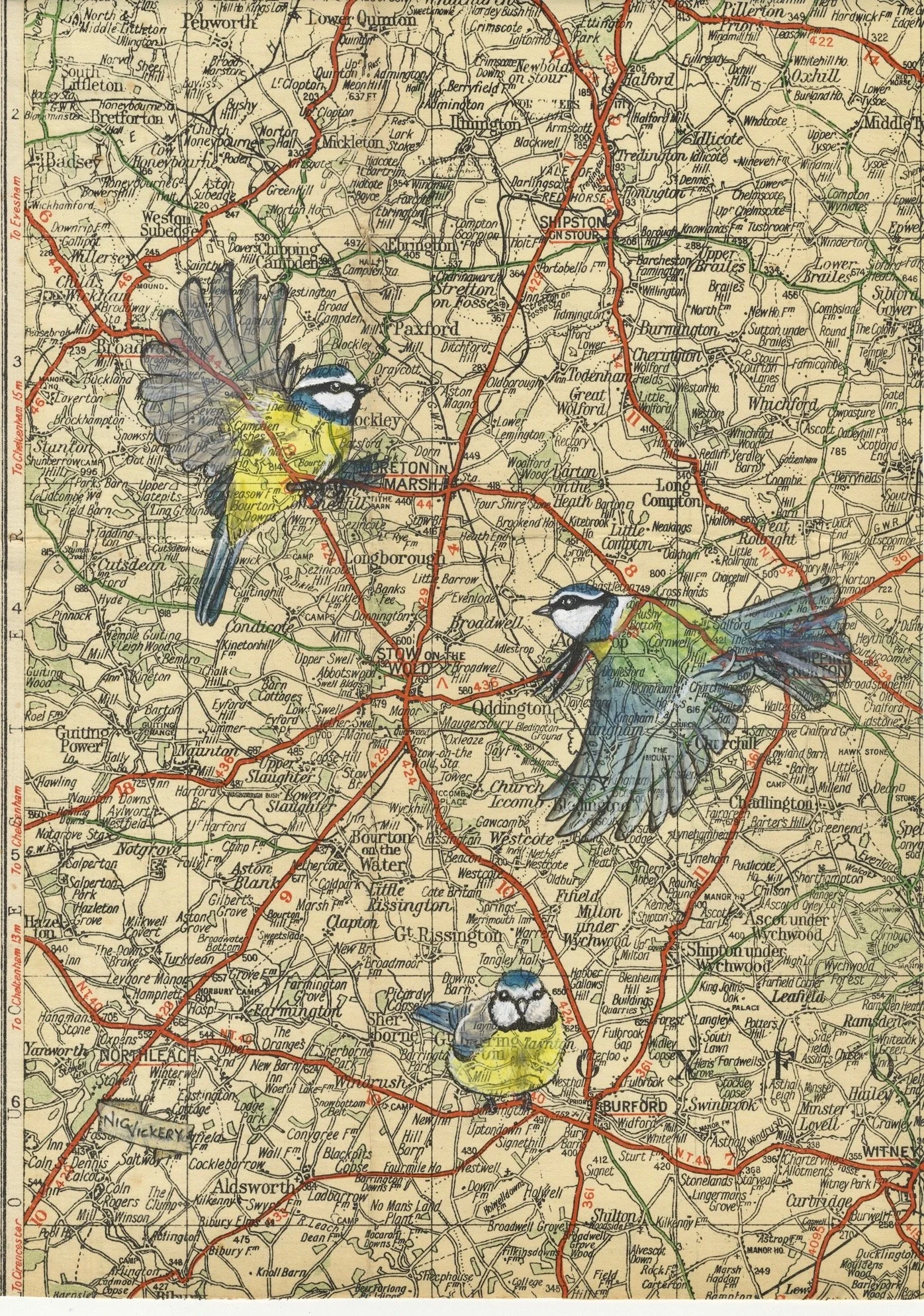 Wychwood Tits 300 dpi.jpg