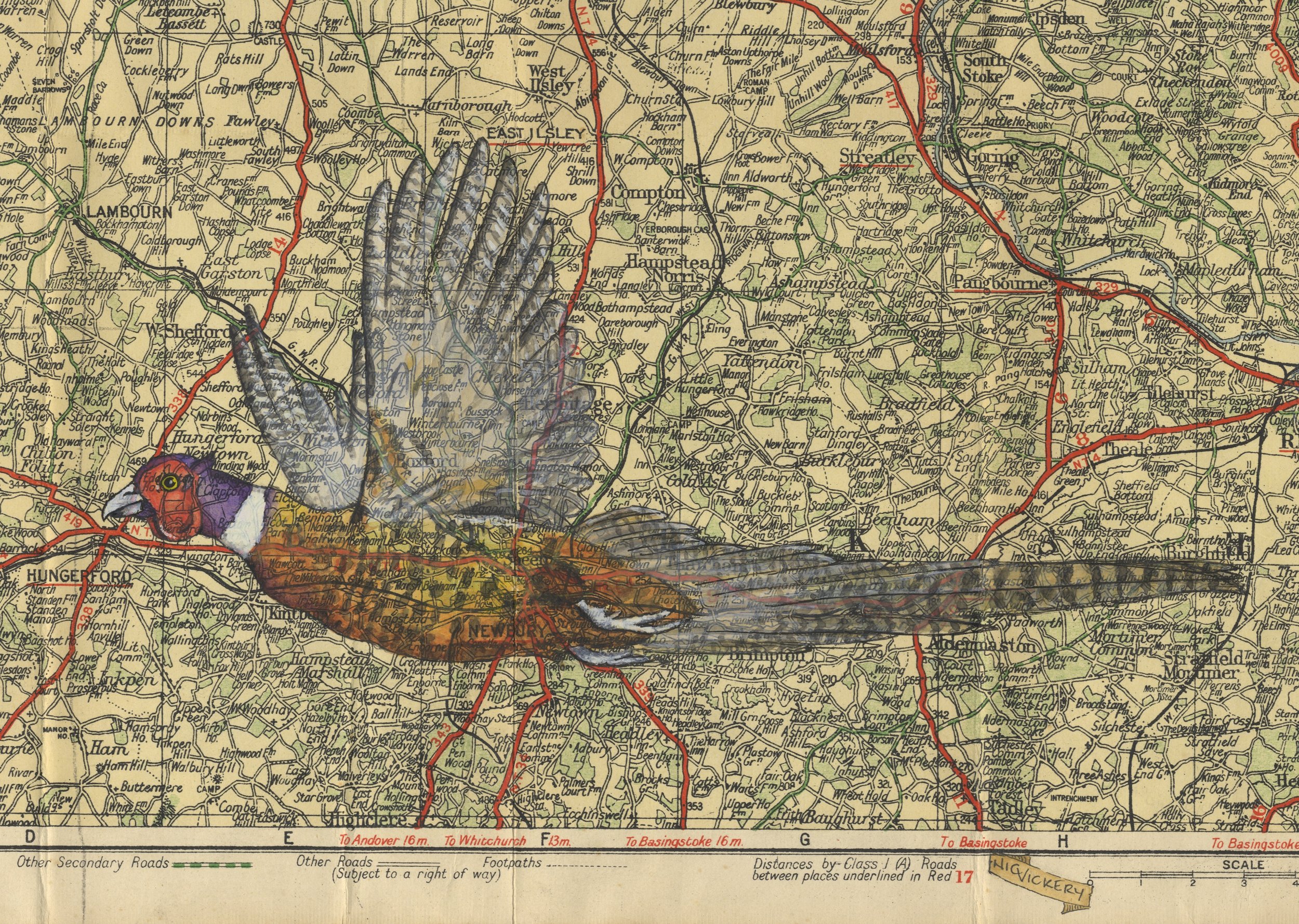 pheasant map JPEG.jpg