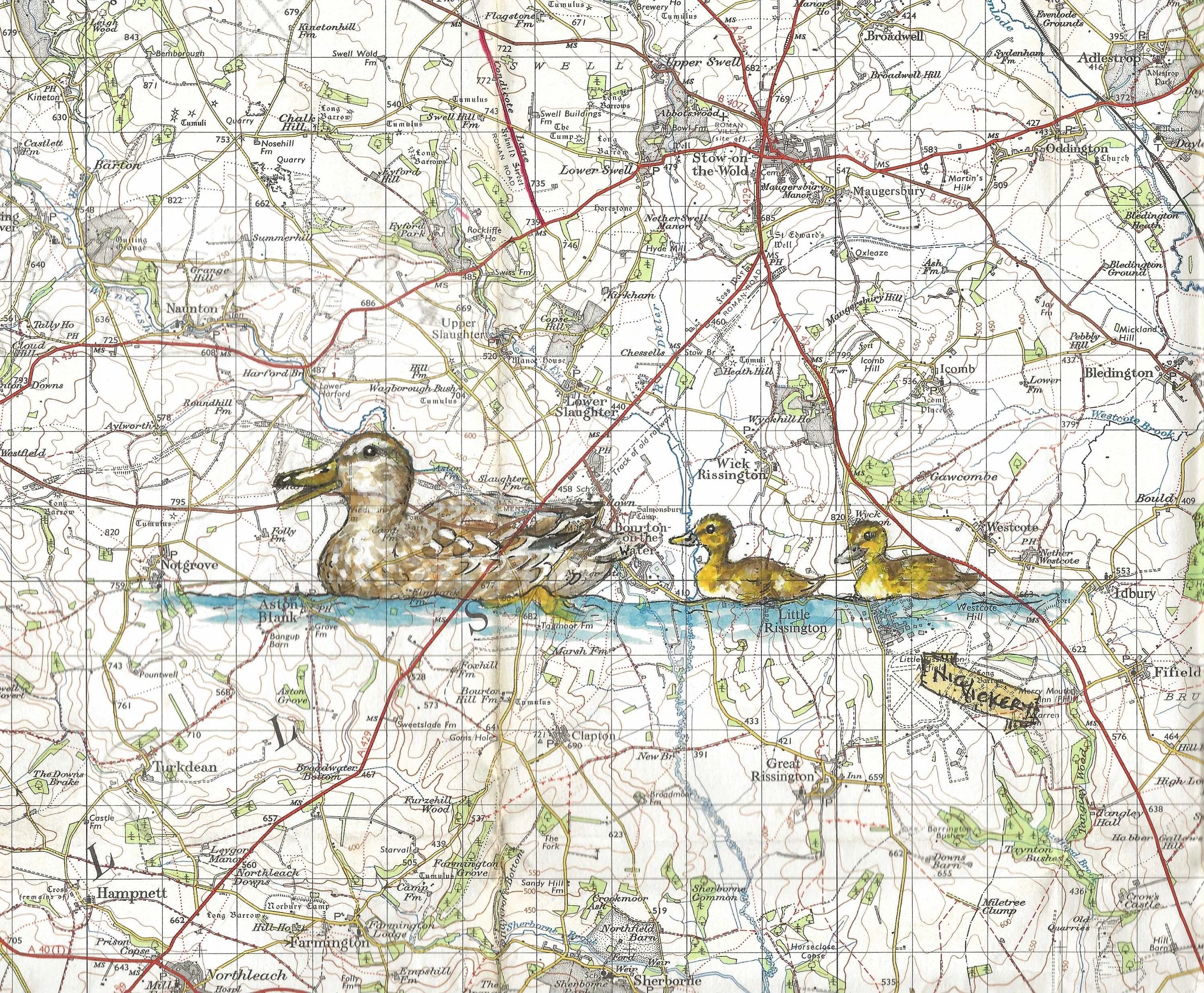 B-O-W Duck Map.jpeg