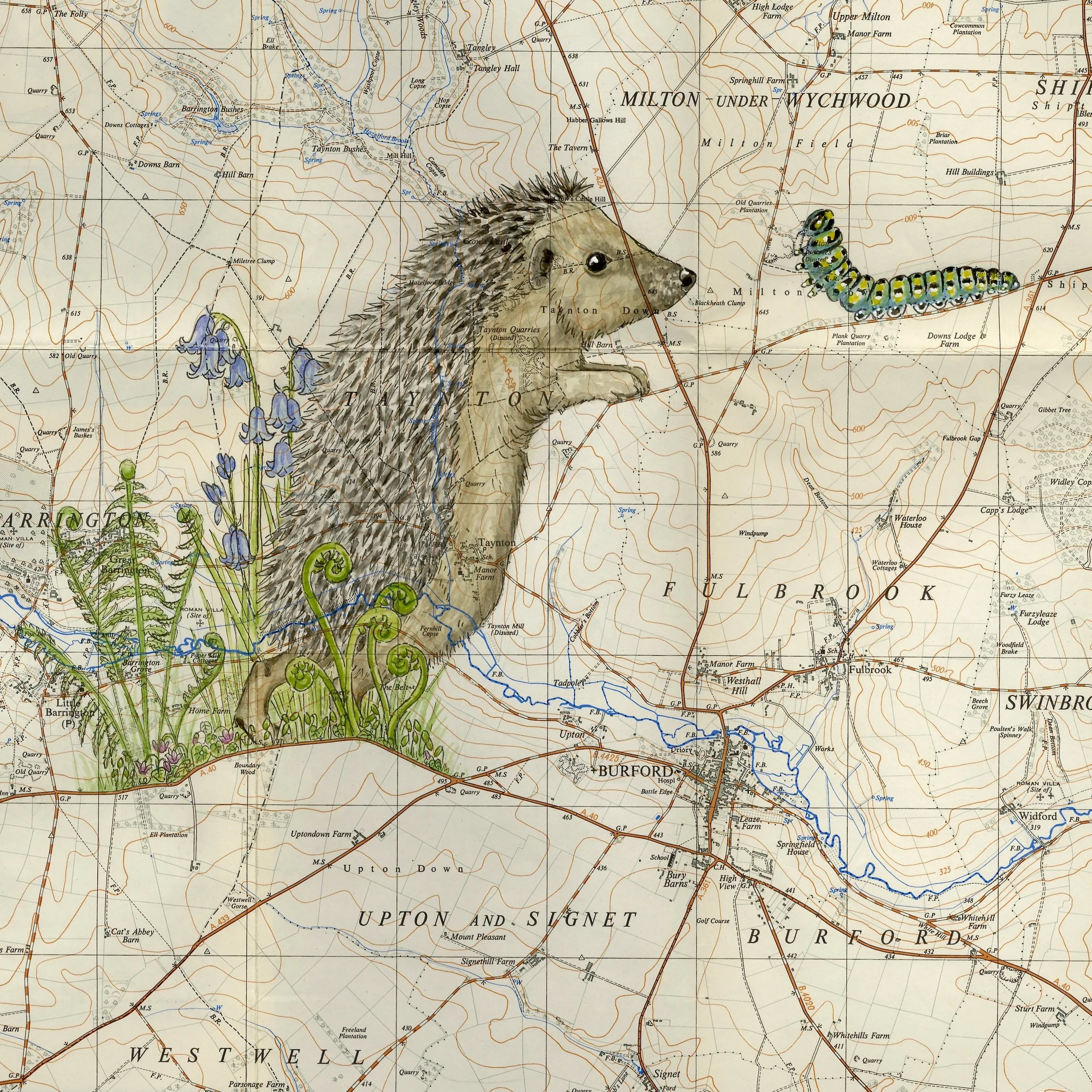 hedgehog and caterpillar colour 2.jpeg
