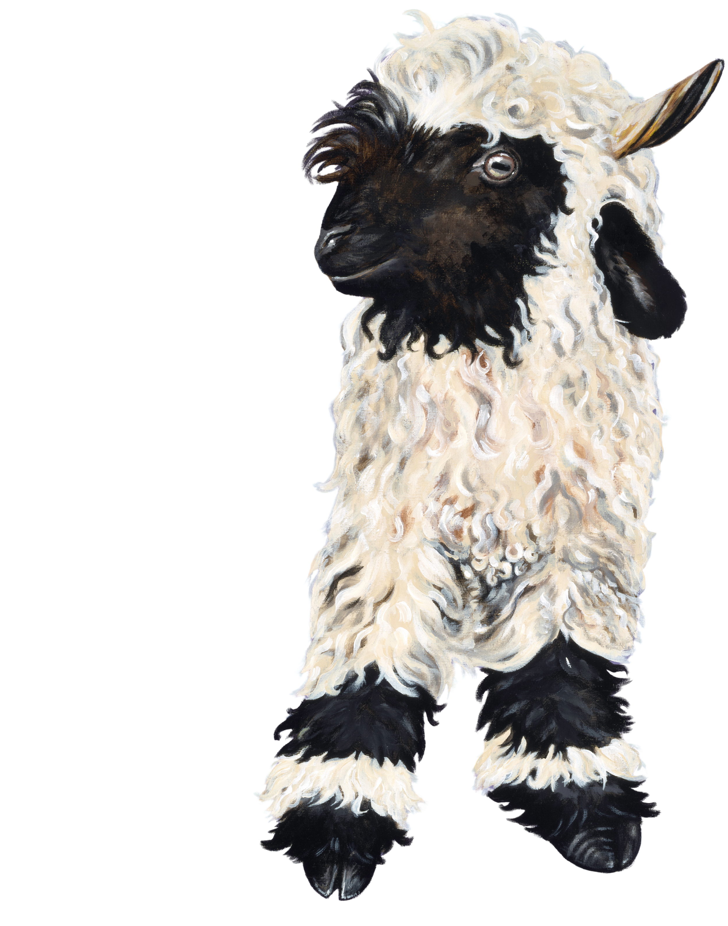 Diddy Sheep copy smaller size - Edited.png