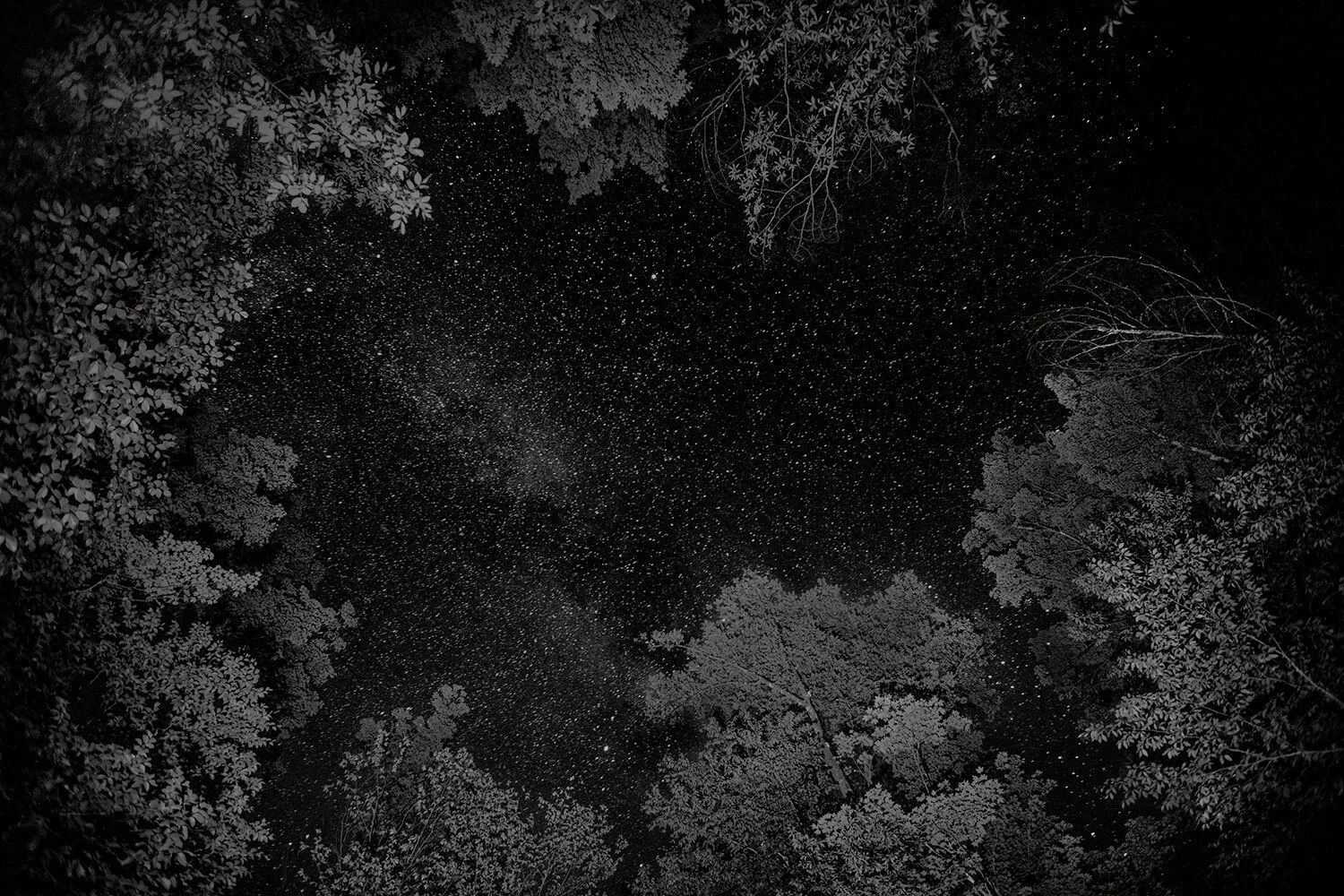 Milky Way