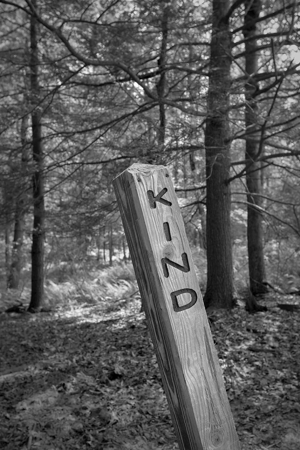 Kind