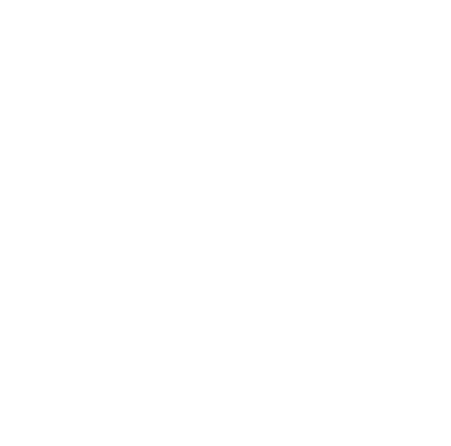 Vile Luxe Studios