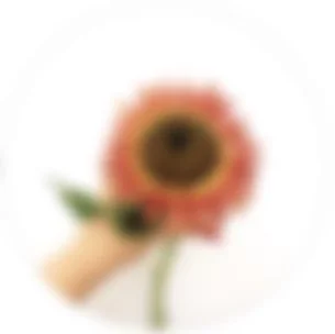 Screenshot 2025-01-03 at 12.42.30 PM.jpg