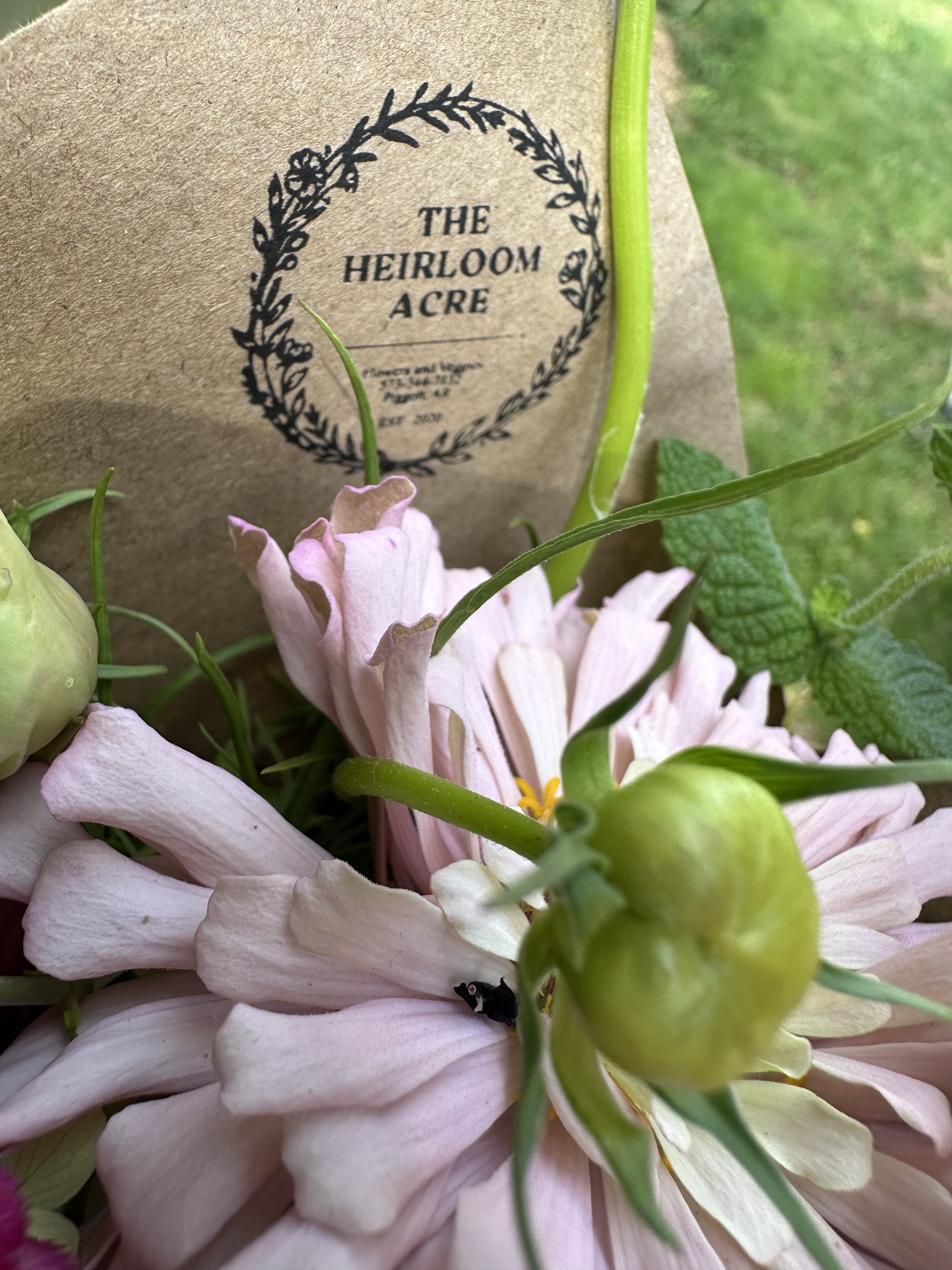 2025 Full Season 'Best of Blooms' CSA