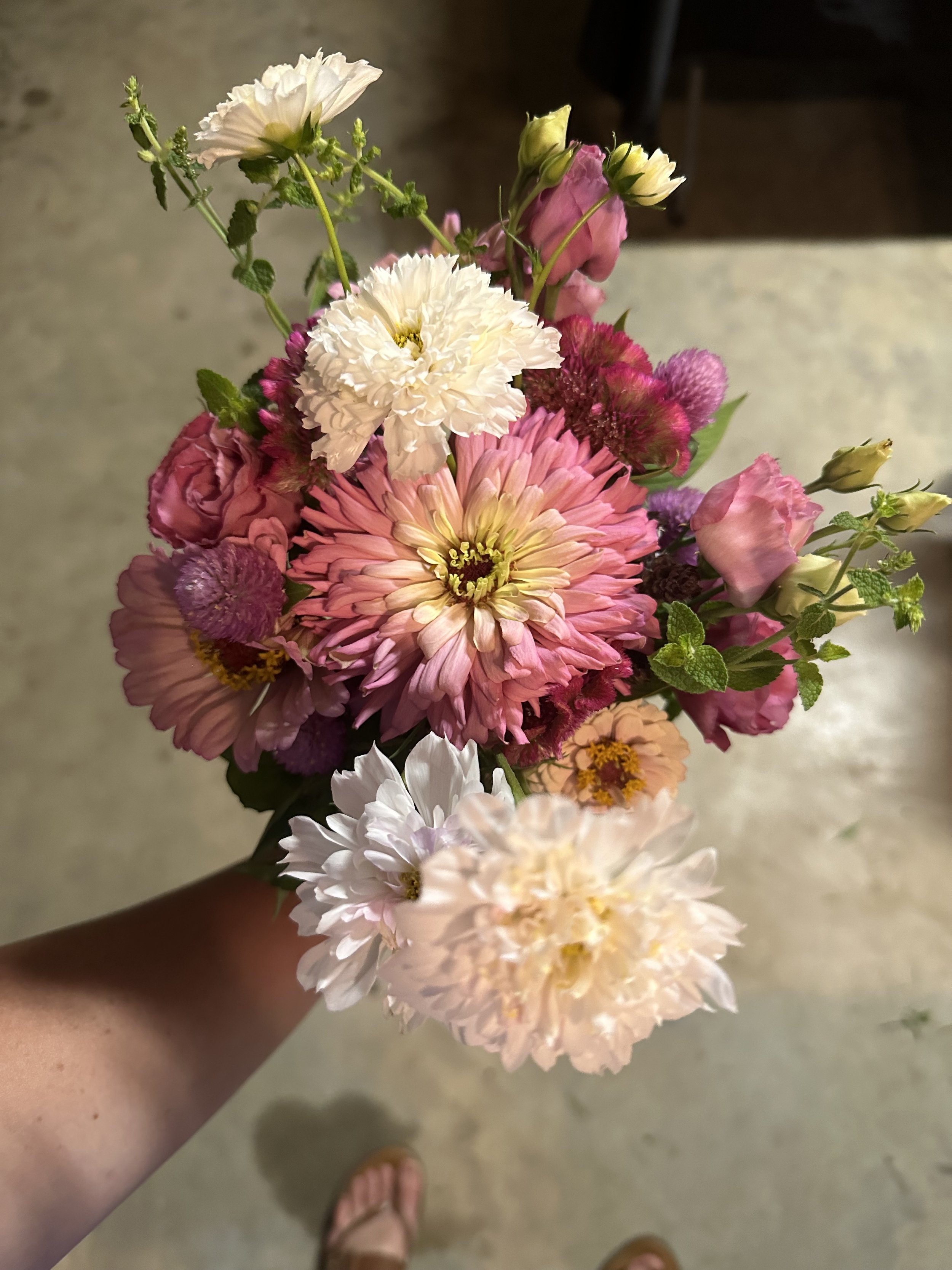 IMG_0967.jpeg
