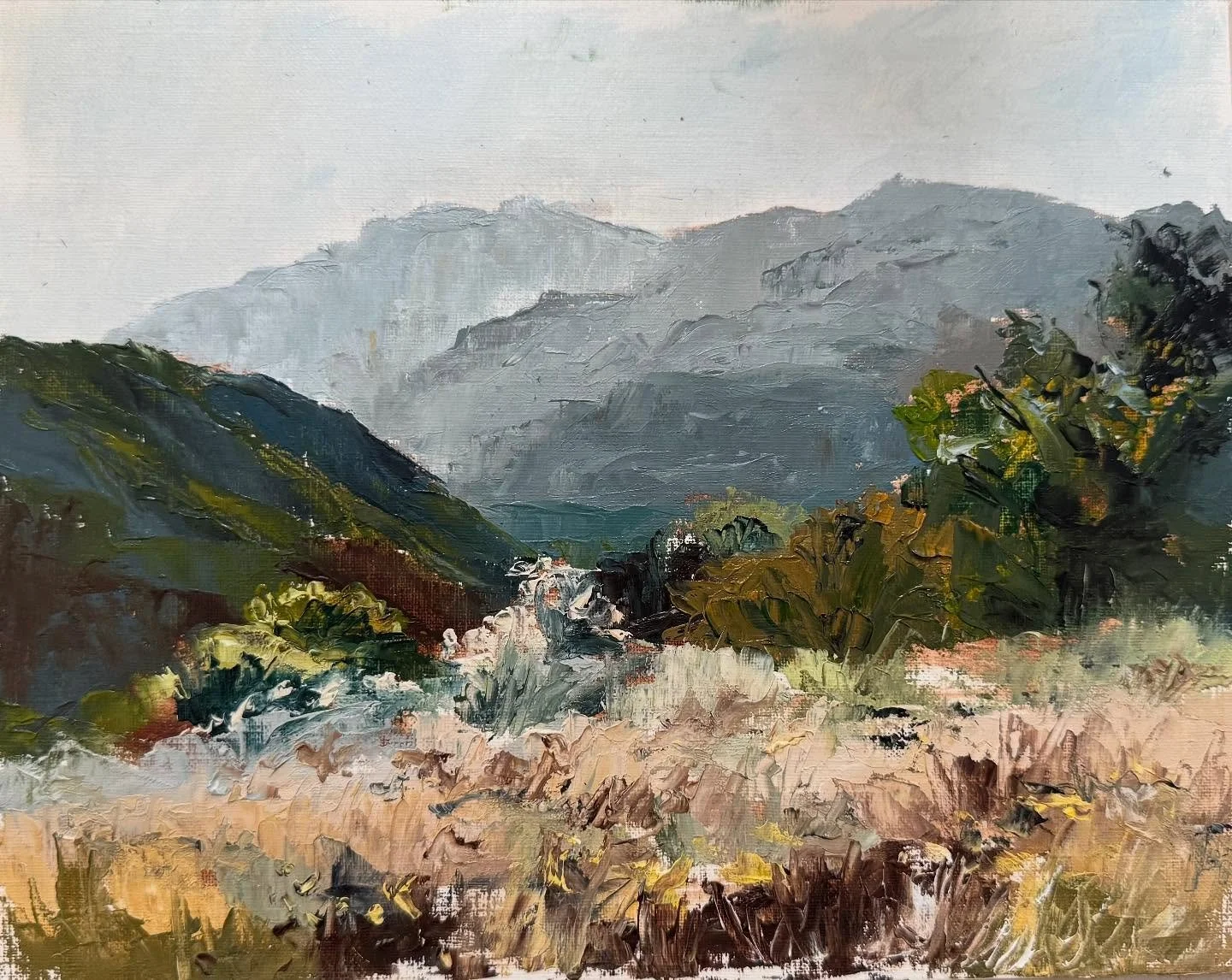 Ojai Valley river at sunset. I sketched from the car with the air conditioning on before braving the miserable heat.  #pleinairpainting #ojaicalifornia #sketch