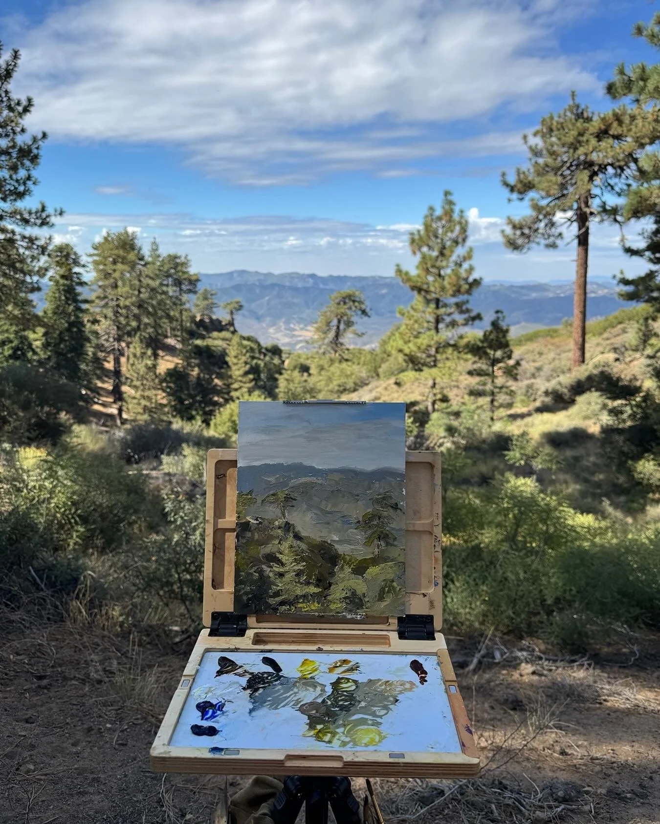 Beautiful morning in the mountains.
@illuminating_artists 
#pleinairpainting #ojai #oilpainting