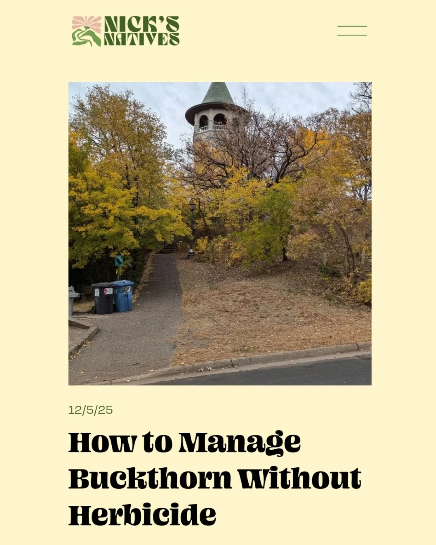 It's not easy, but yes, you can manage buckthorn without herbicide! I've written a guide for how to get rid of buckthorn and replace it with native plants, all without using chemicals. Go check it out on the blog!

#ecologicallandscaping #restoration
