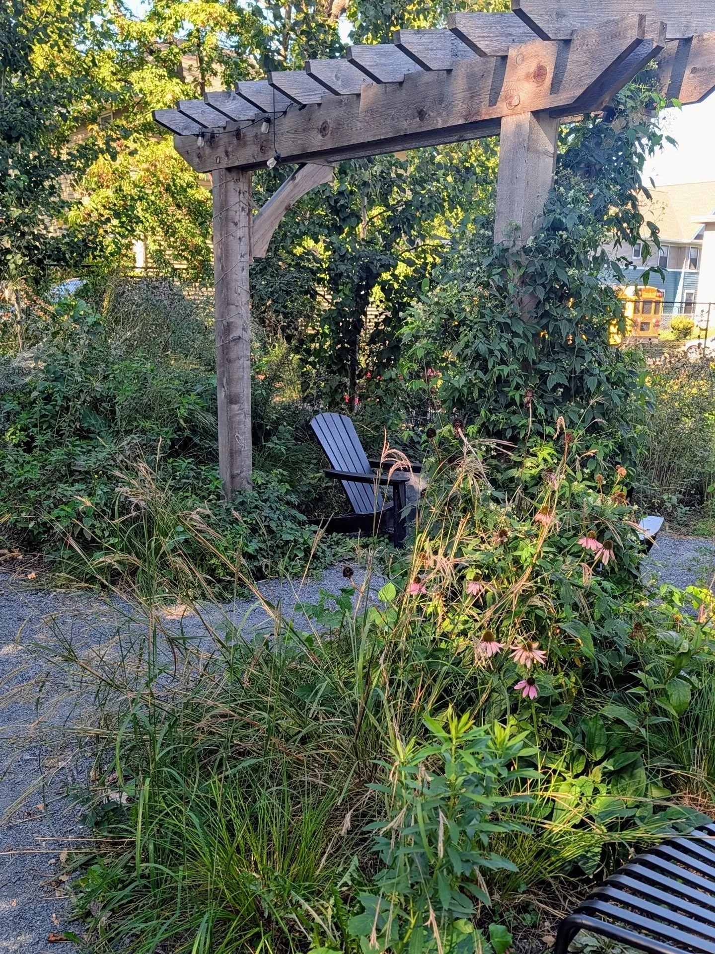 How it's growing (1 + 2, October 2025) from how it started (3, July 2024).

This is a challenging garden space. It experiences heavy foot traffic and is nestled next to two highways in downtown Minneapolis, allowing all sorts of weed seeds to blow in