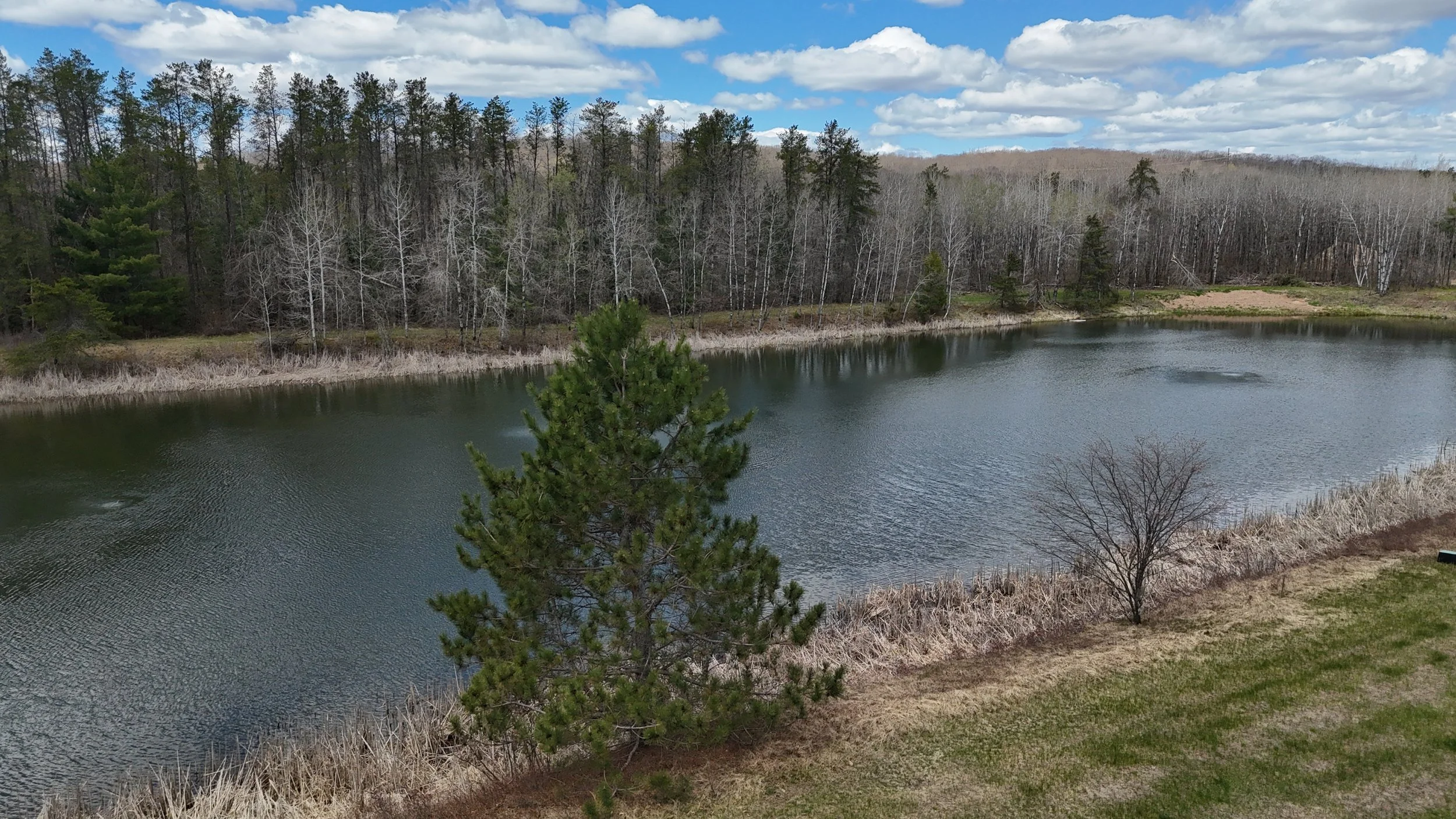 DJI_20260509123657_0182_D.JPG