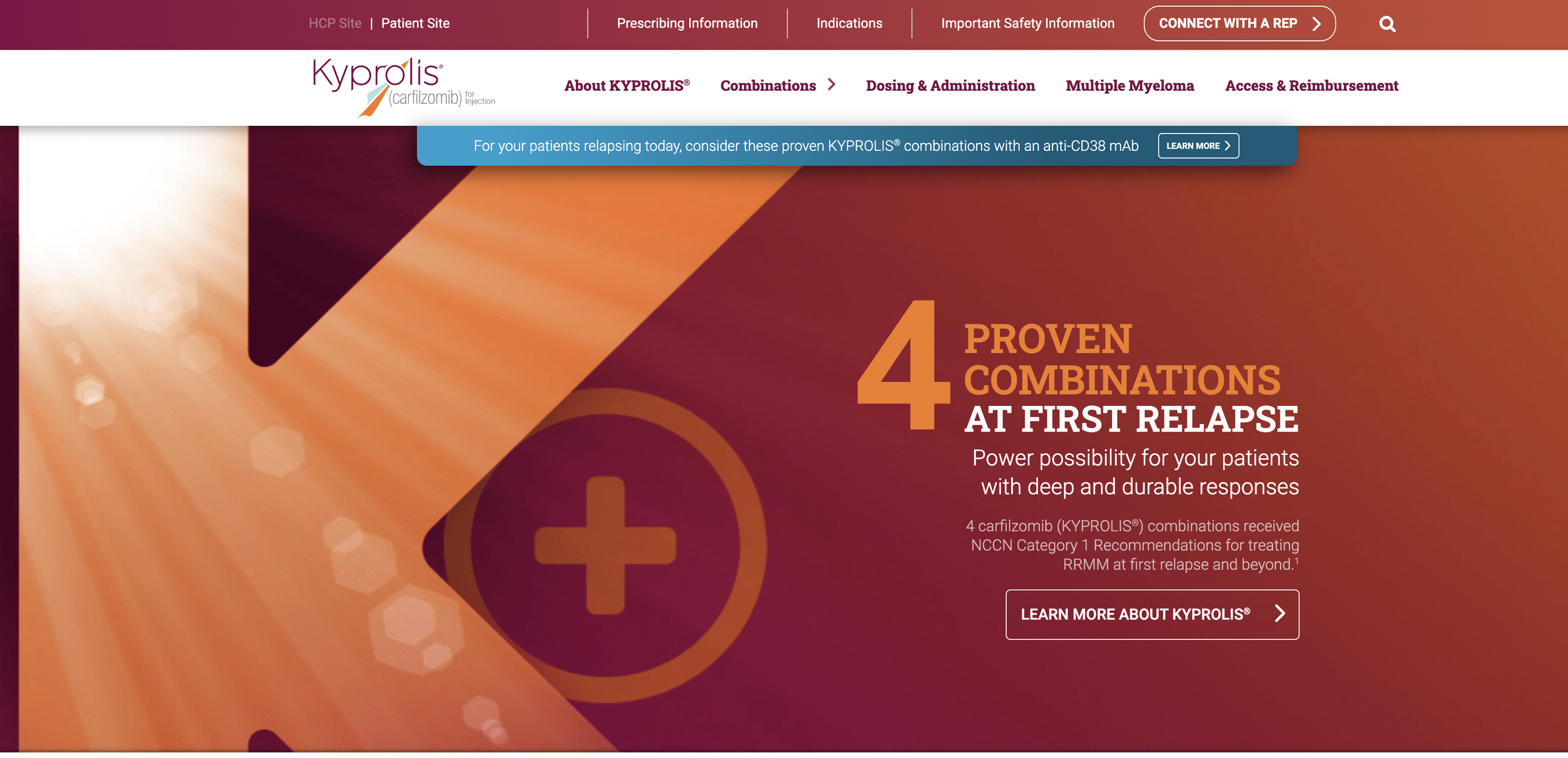 Screen Shot 2024-06-18 at 9.54.27 PM.png