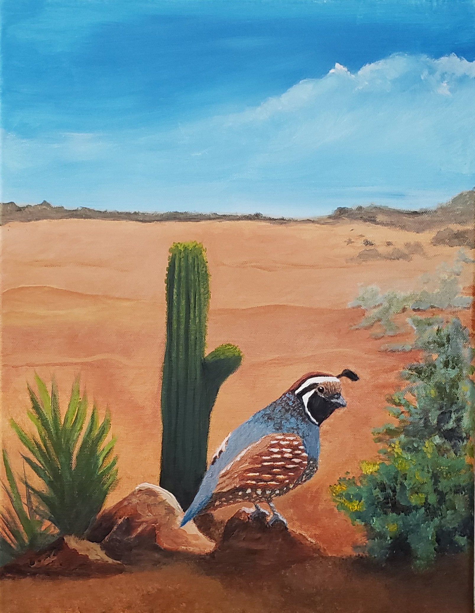"The Sentinel" acrylic on canvas. This quail is on high alert watching out for danger in his desert home.
